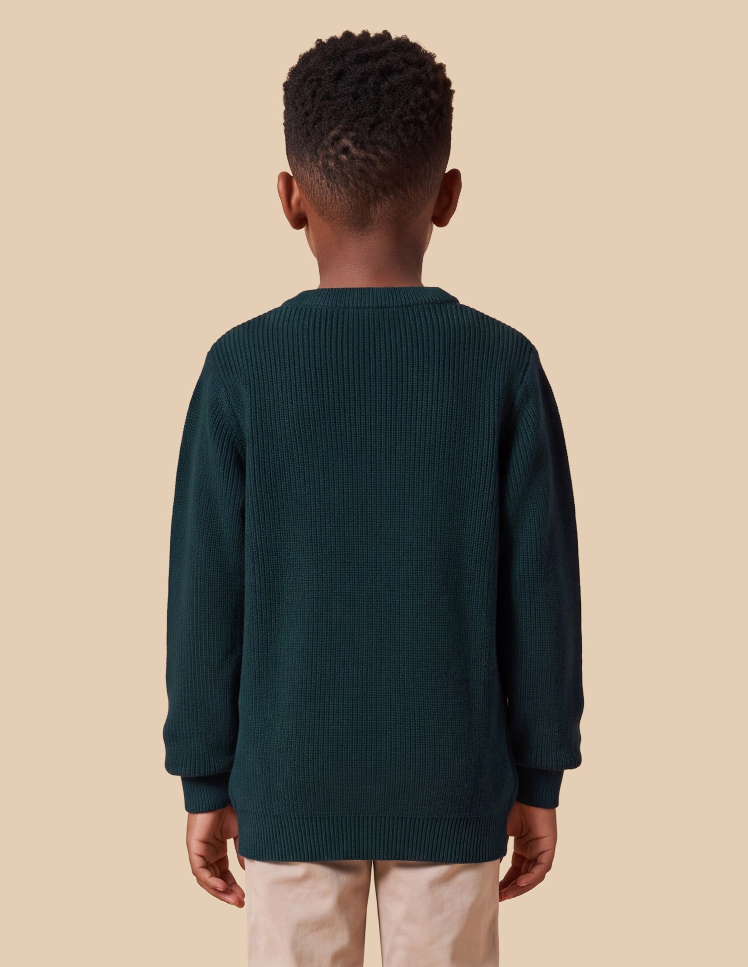 Brand Embroidered Regular Fit Sweater Green - U.S. Polo Assn. India | Large