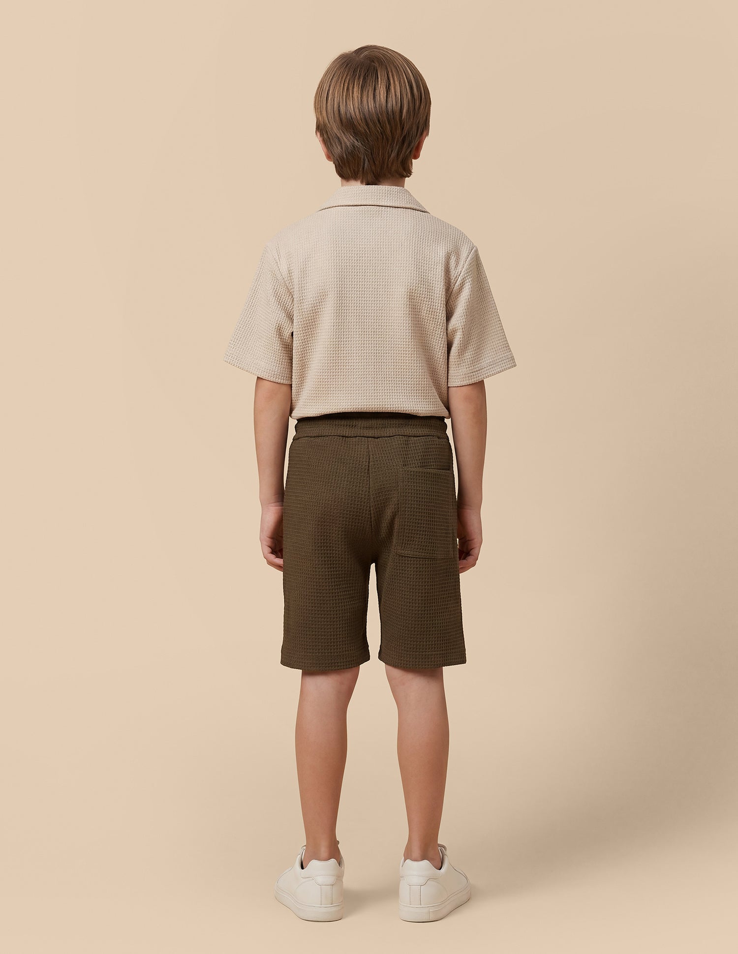 Textured Regular Fit Shorts Brown - U.S. Polo Assn. India | Large