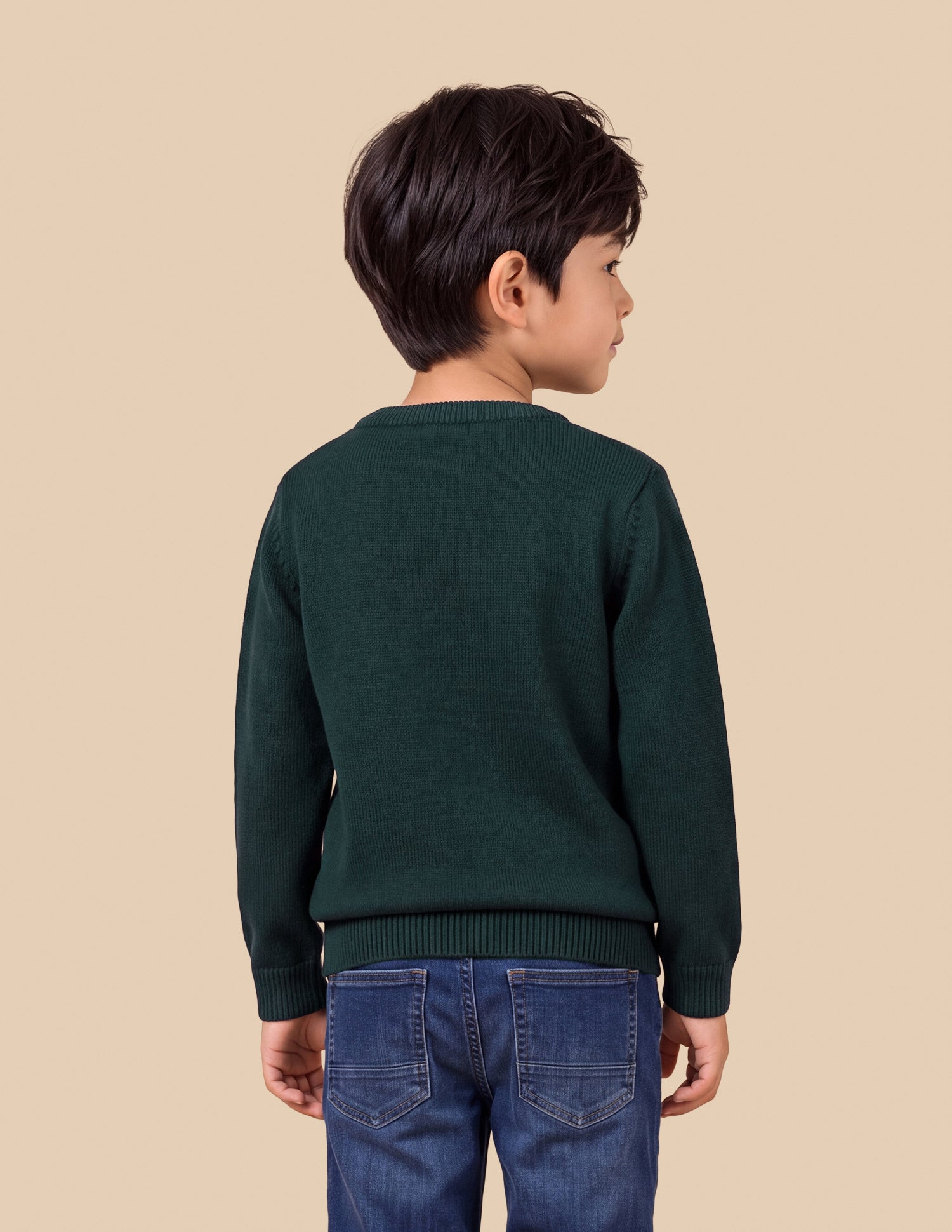 Graphic Brand Patterned Knit Regular Fit Sweater Teal - U.S. Polo Assn. India | Large