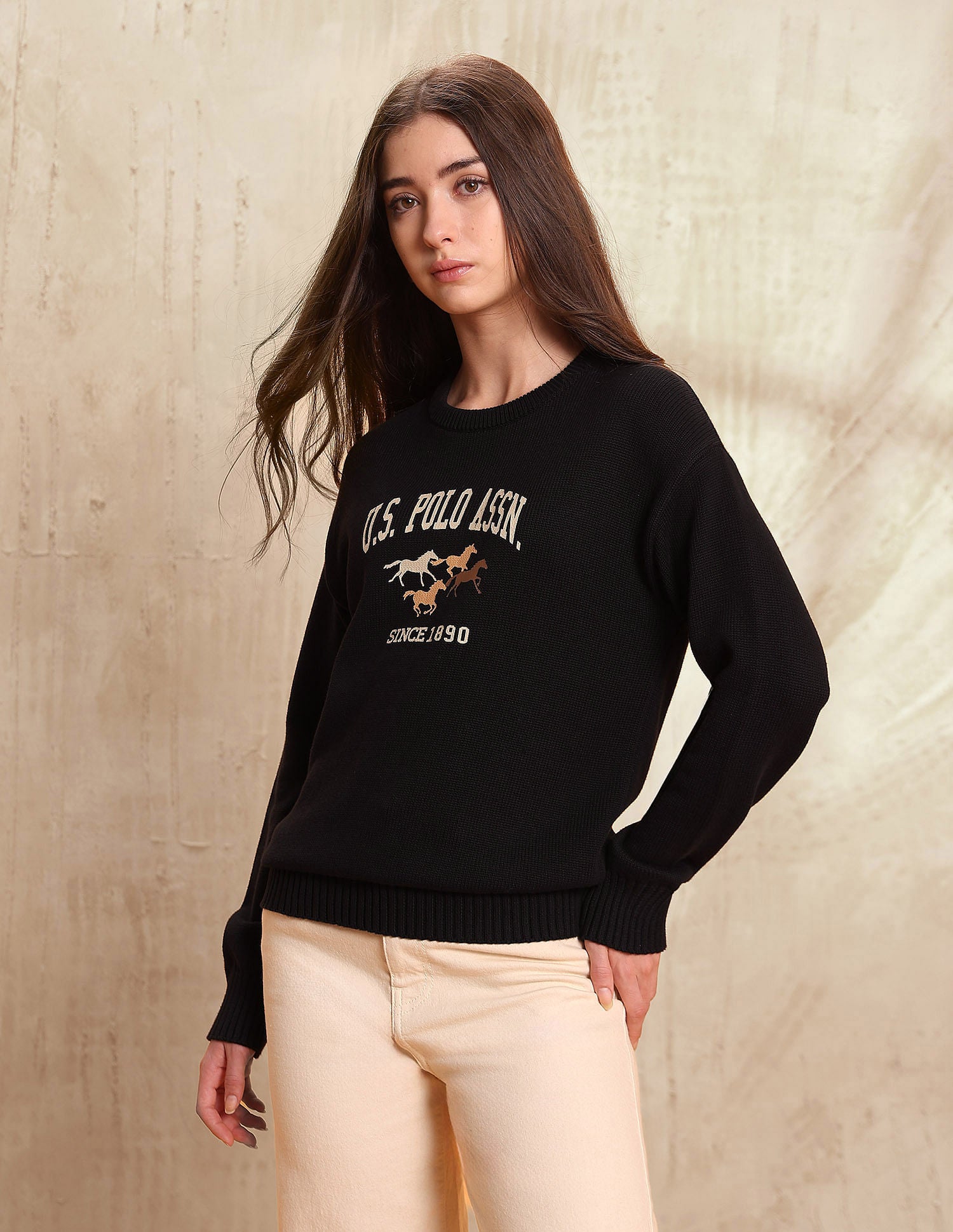 Regular Fit Brand Printed Sweater Black - U.S. POLO ASSN. | Large