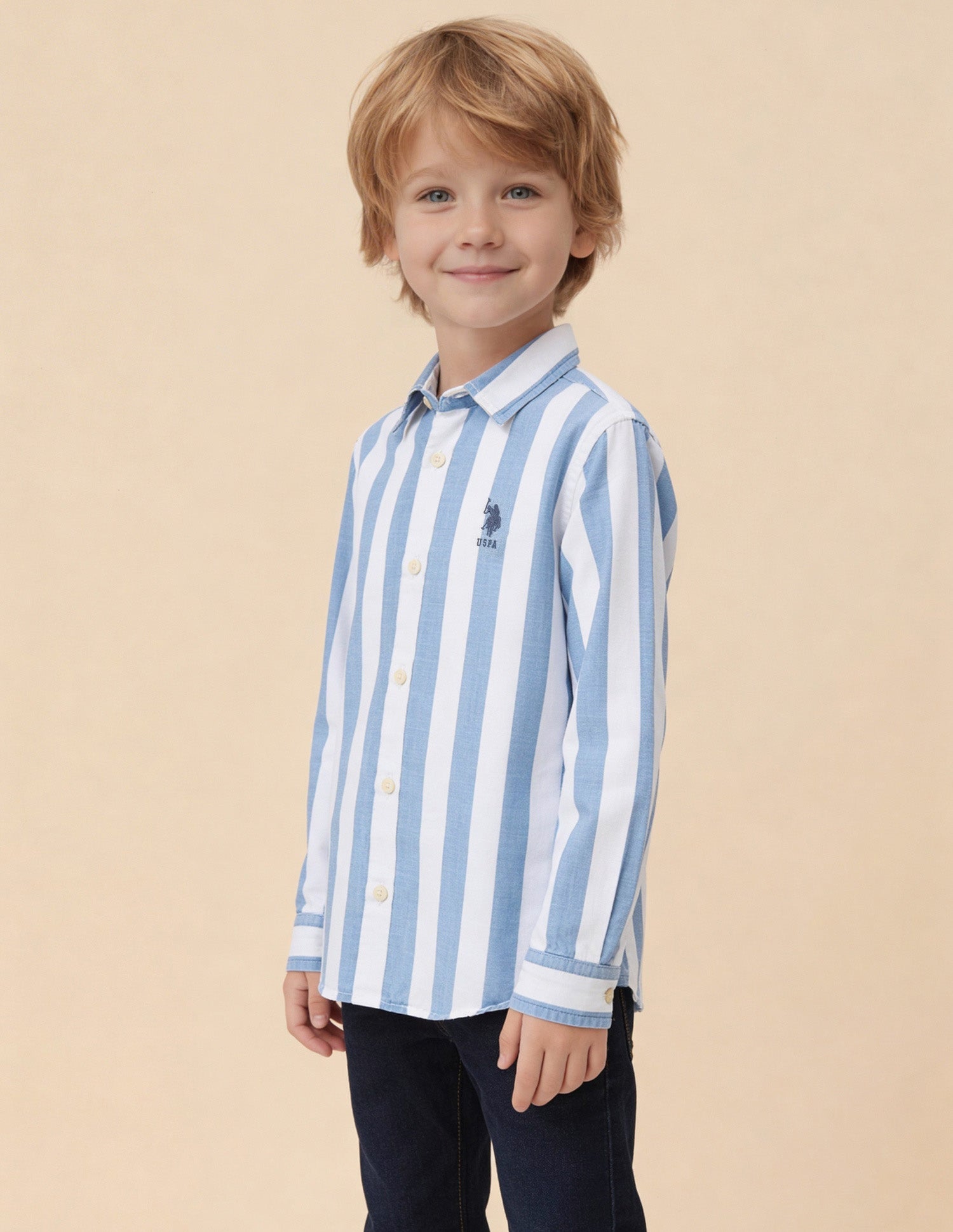 Vertical Striped Regular Fit Shirt Light Blue - U.S. Polo Assn. India | Large