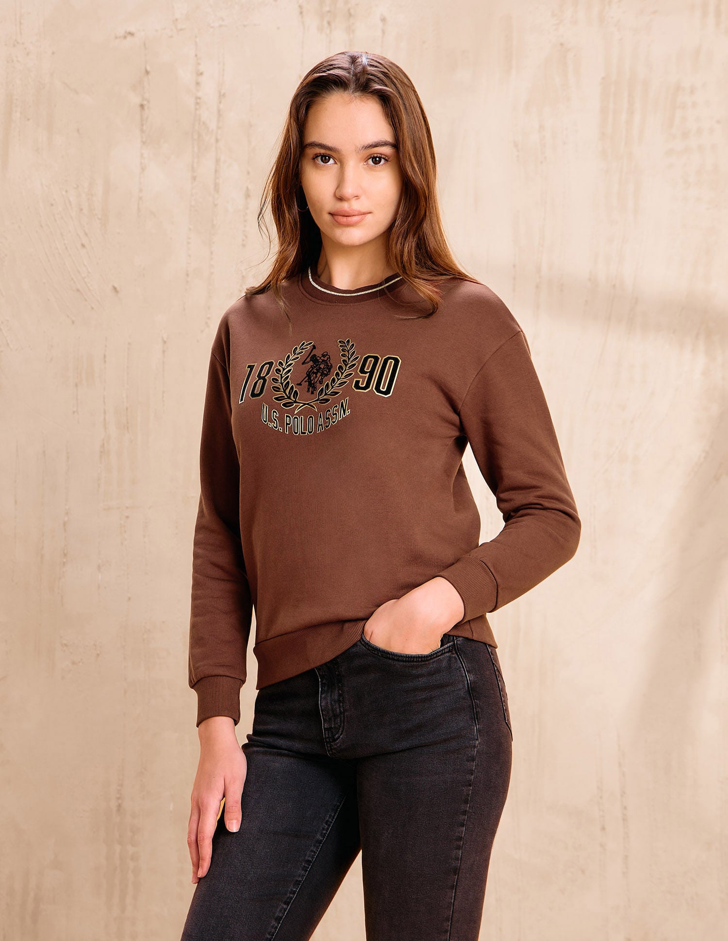 Brand Printed Regular Fit  Sweater Brown - U.S. POLO ASSN. | Large