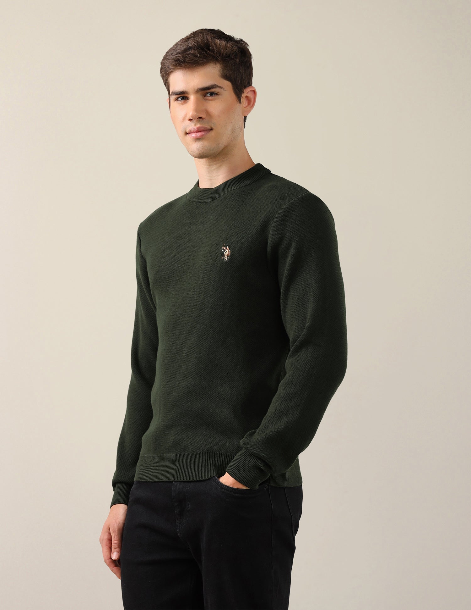Solid Regular Fit Sweater Dark Green - U.S. Polo Assn. India | Large