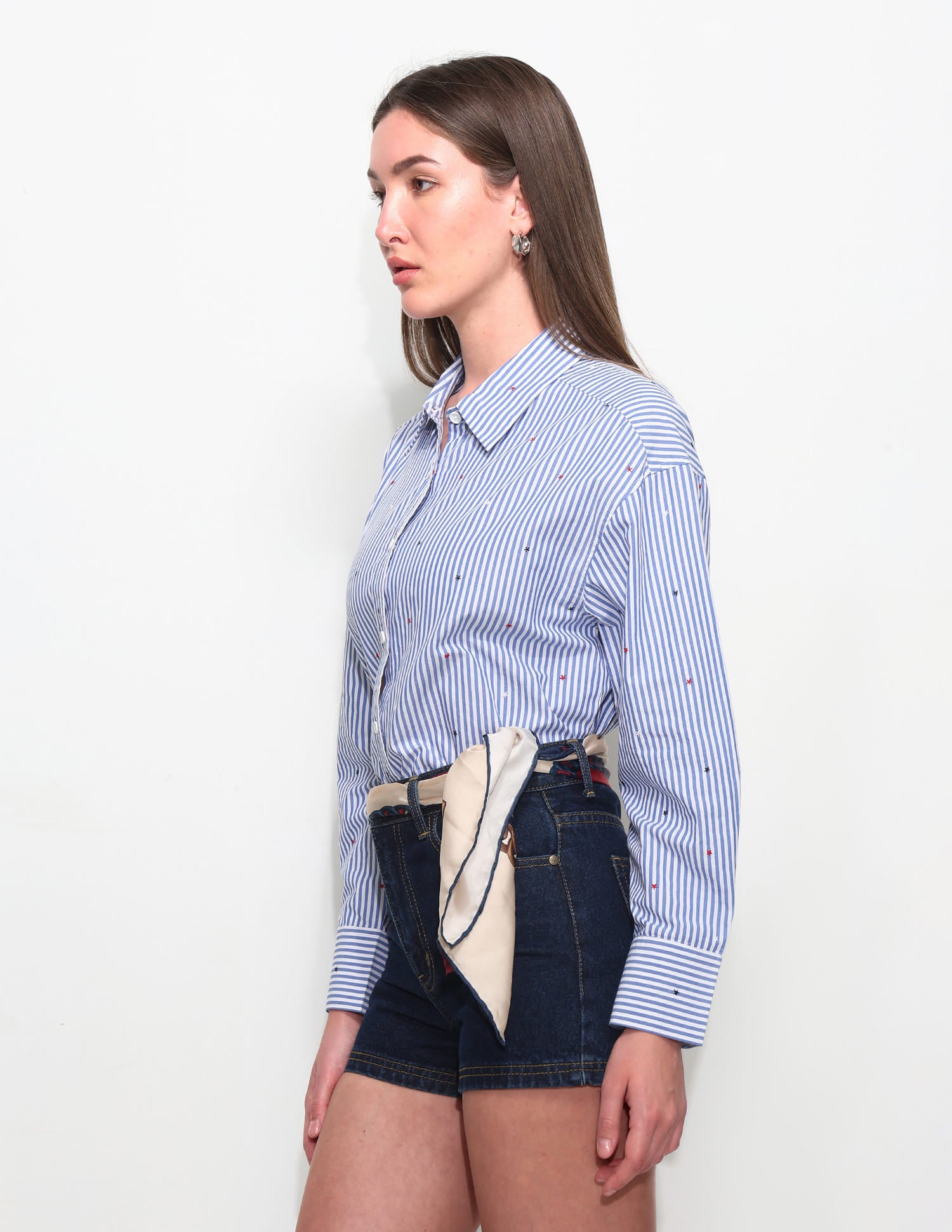 Vertical Striped Shirt With Embroidery Blue - U.S. Polo Assn. India | Large