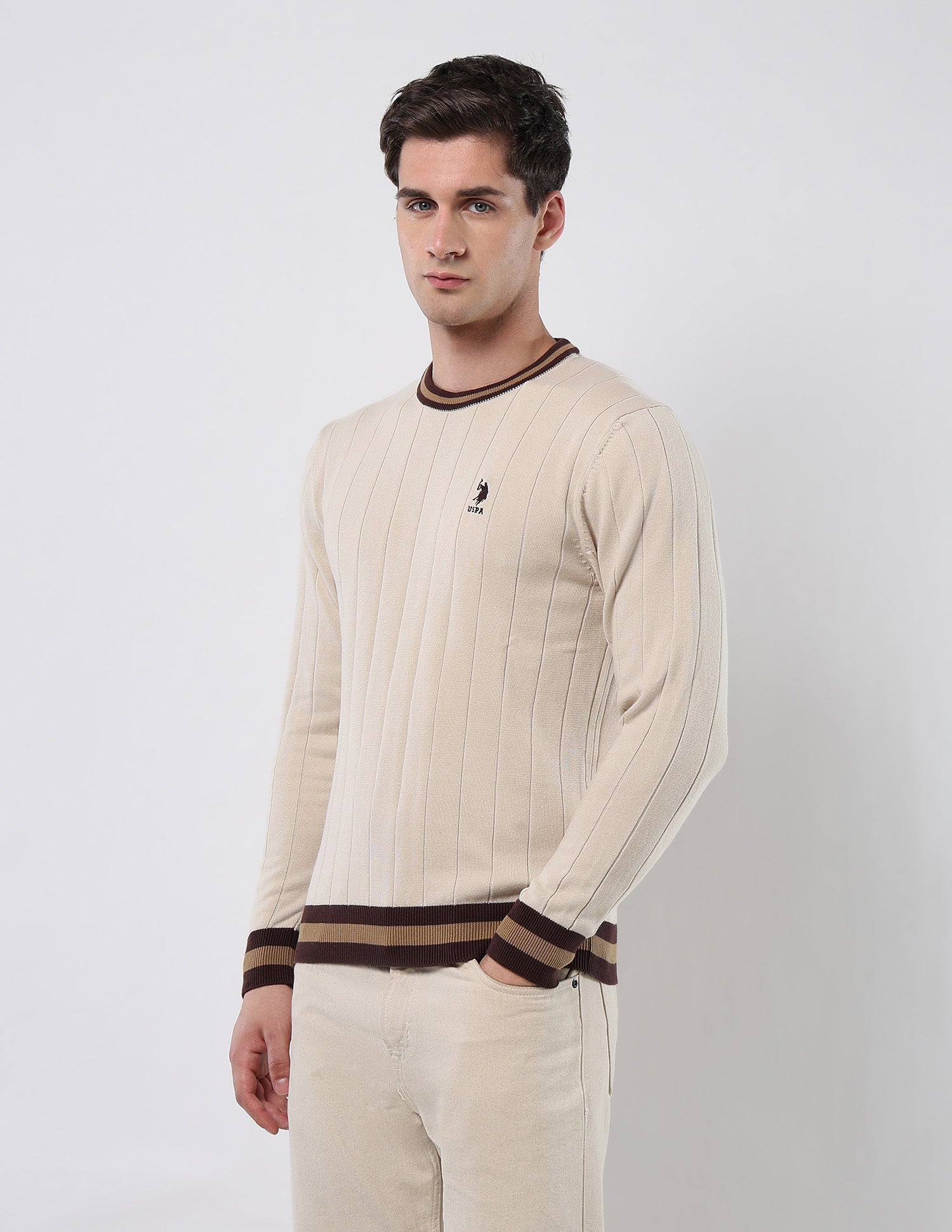 Vertical Striped Patterned Knit Sweater Beige - U.S. POLO ASSN. | Large