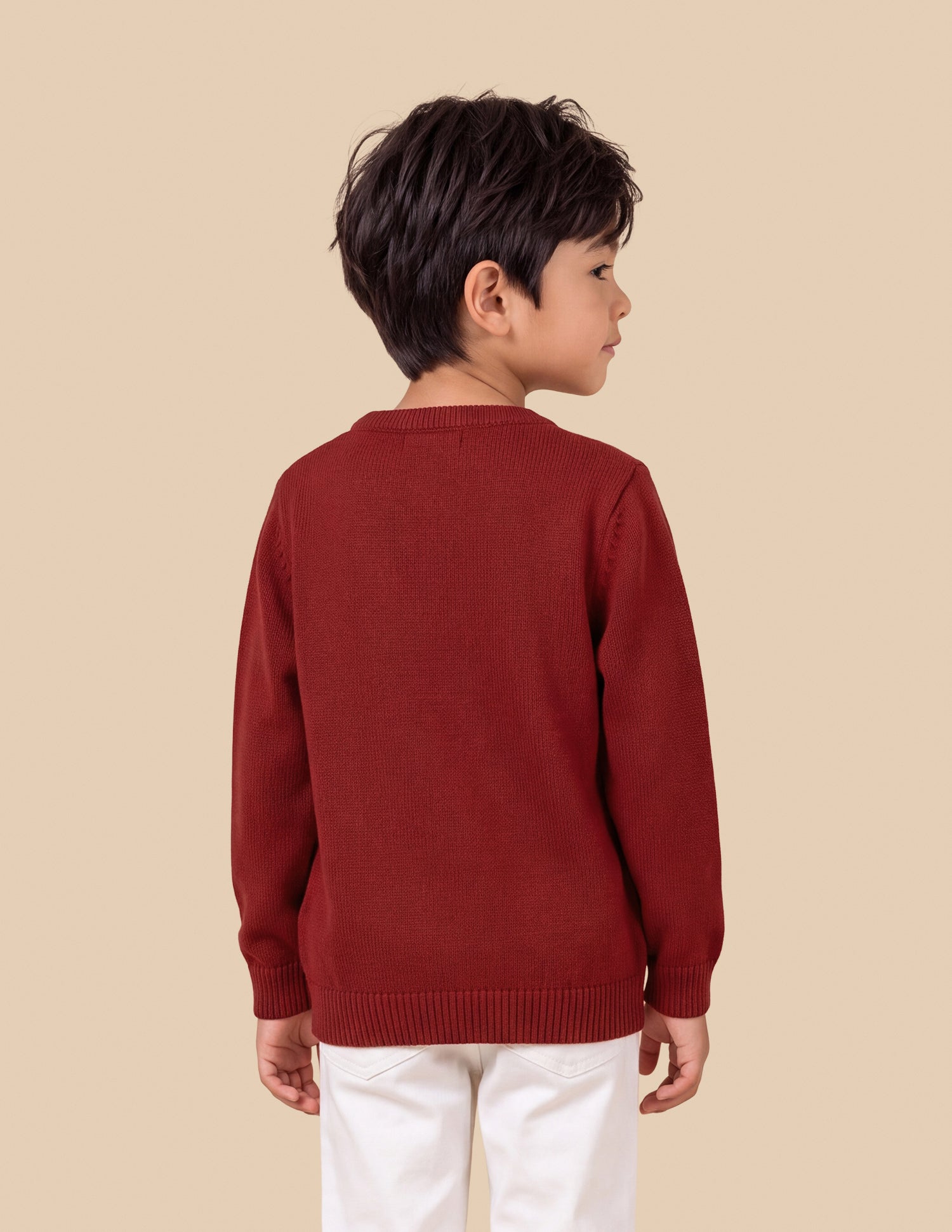 Graphic Brand Patterned Knit Regular Fit Sweater Red - U.S. Polo Assn. India | Large