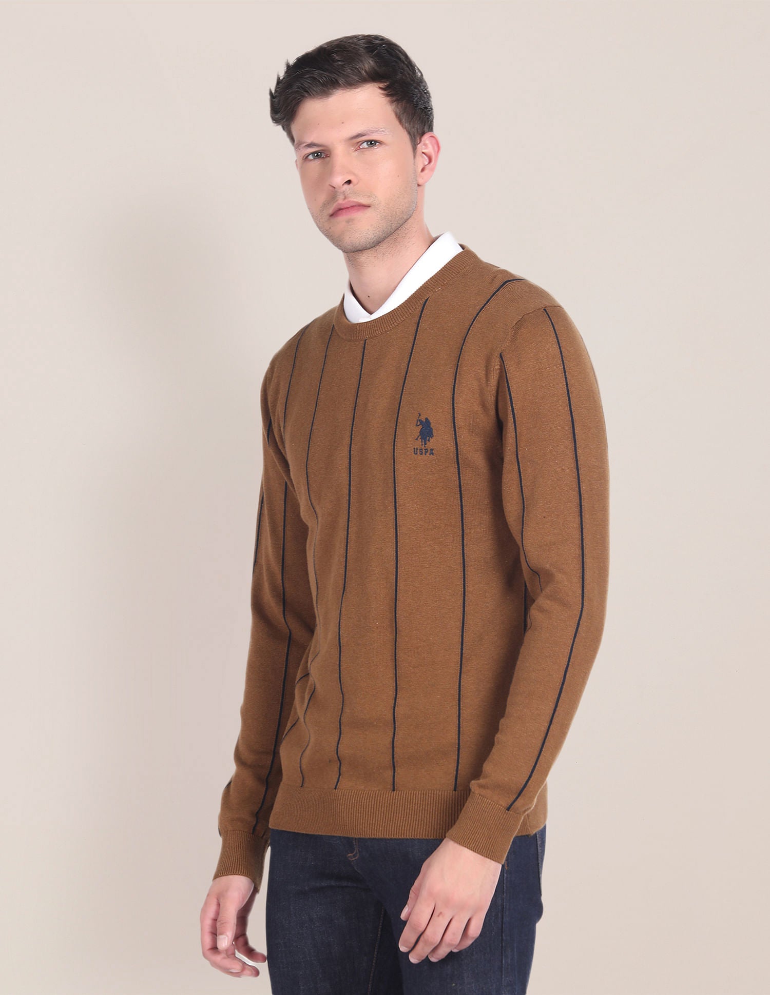 Crew Neck Vertical Stripe Sweater Brown - U.S. POLO ASSN. | Large