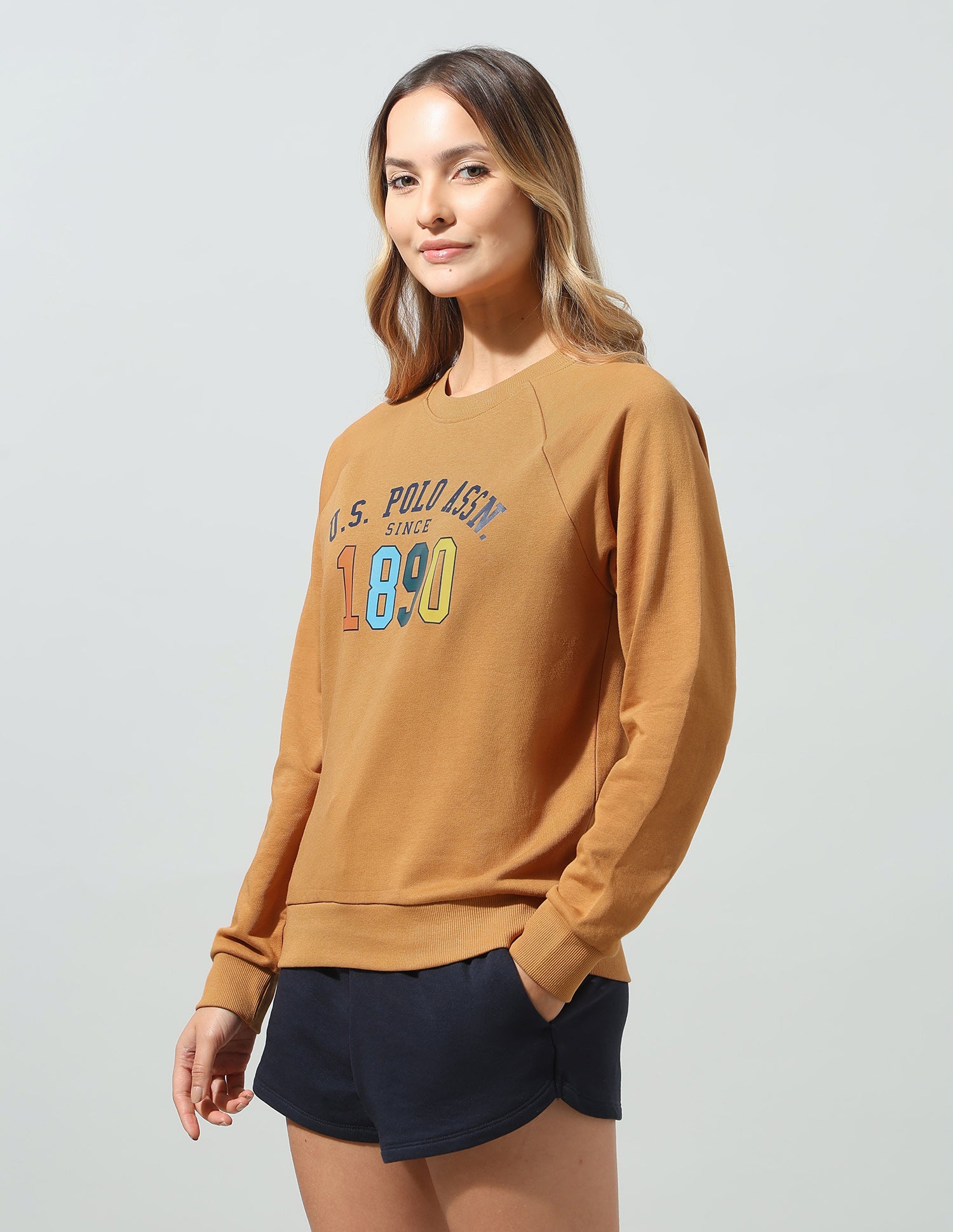 Typographic Brand Printed Relaxed Fit Sweatshirt Light Brown - U.S. Polo Assn. India | Large