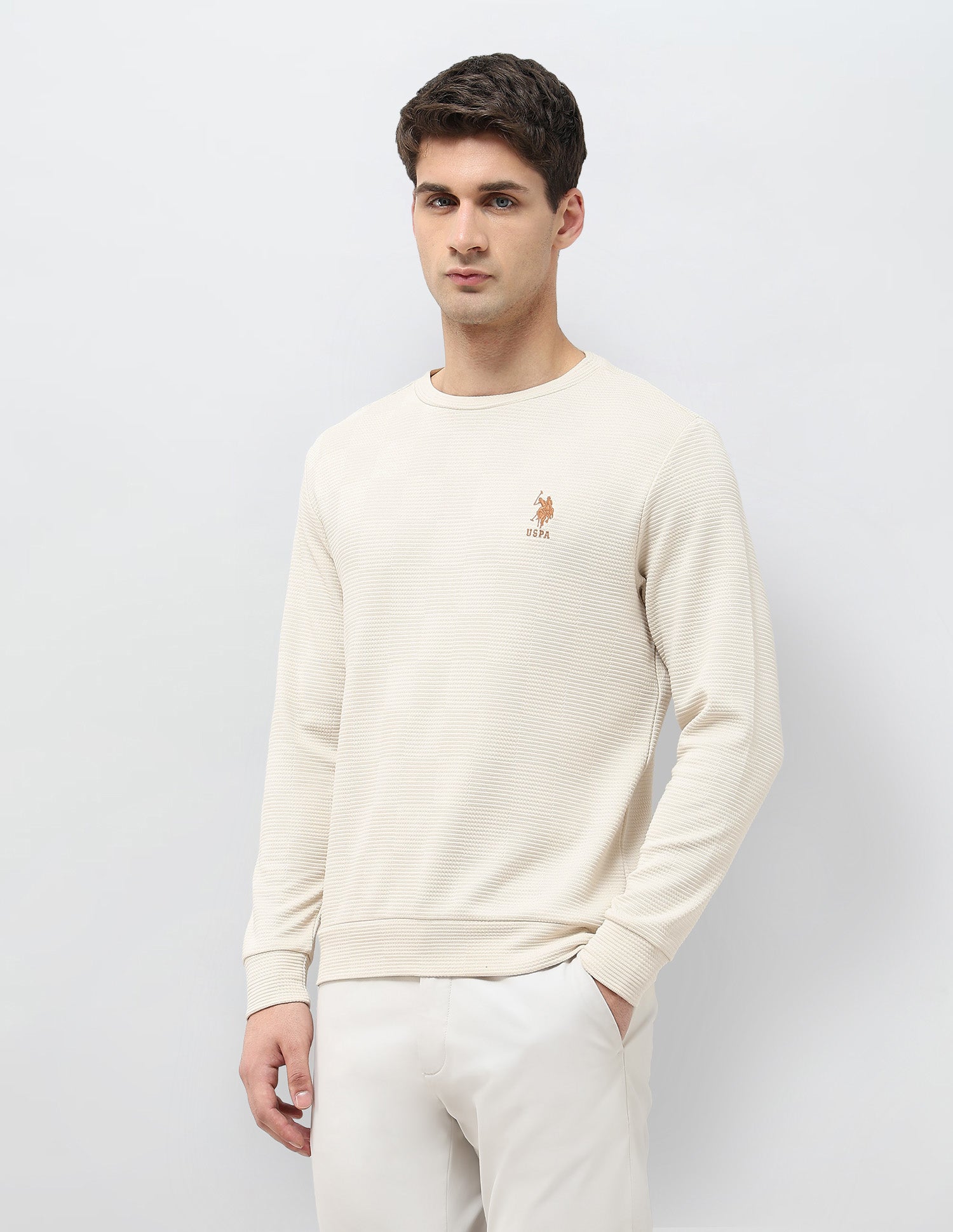 Textured Patterned Knit Regular Fit Sweatshirt Beige - U.S. POLO ASSN. | Large