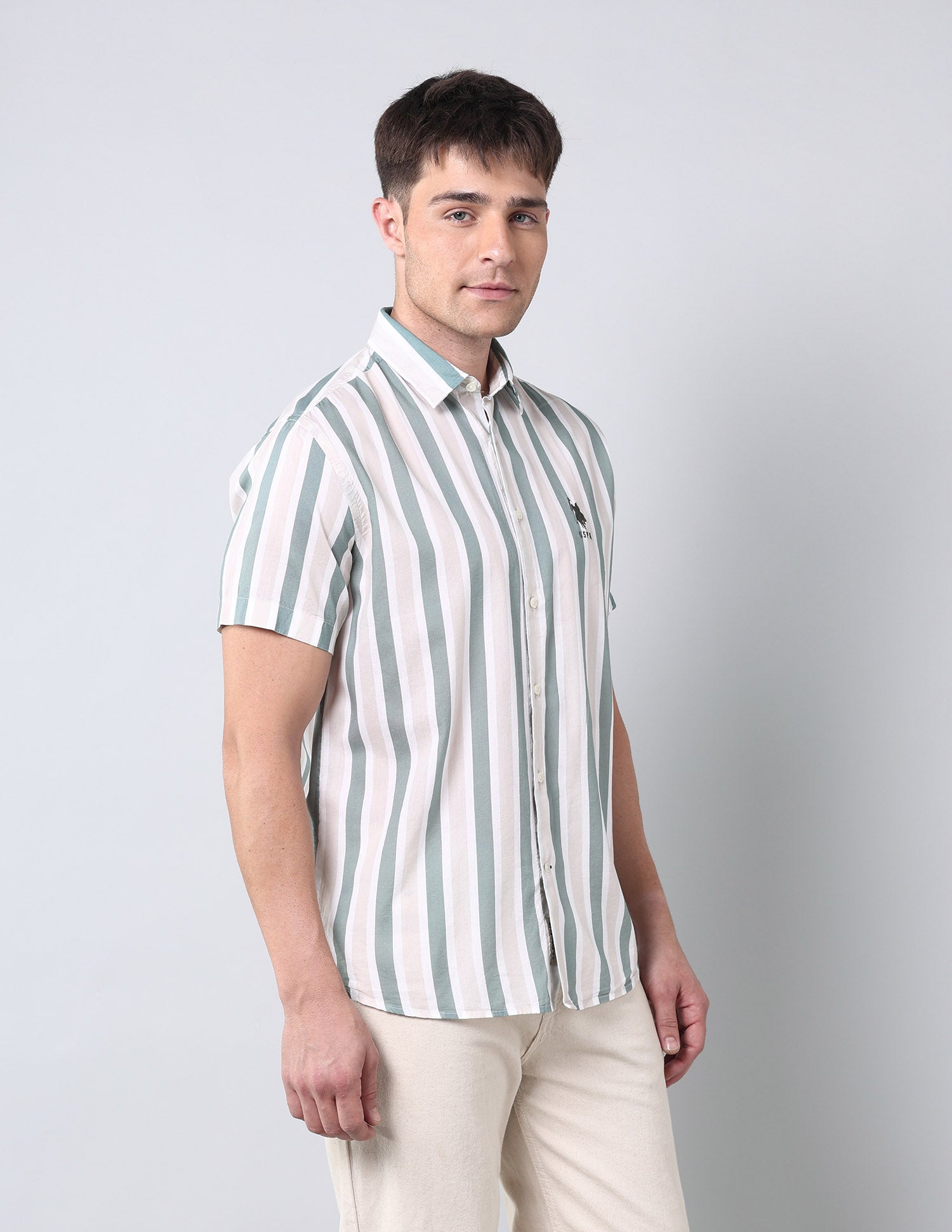 Vertical Striped Regular Fit Shirt Green - U.S. Polo Assn. India | Large