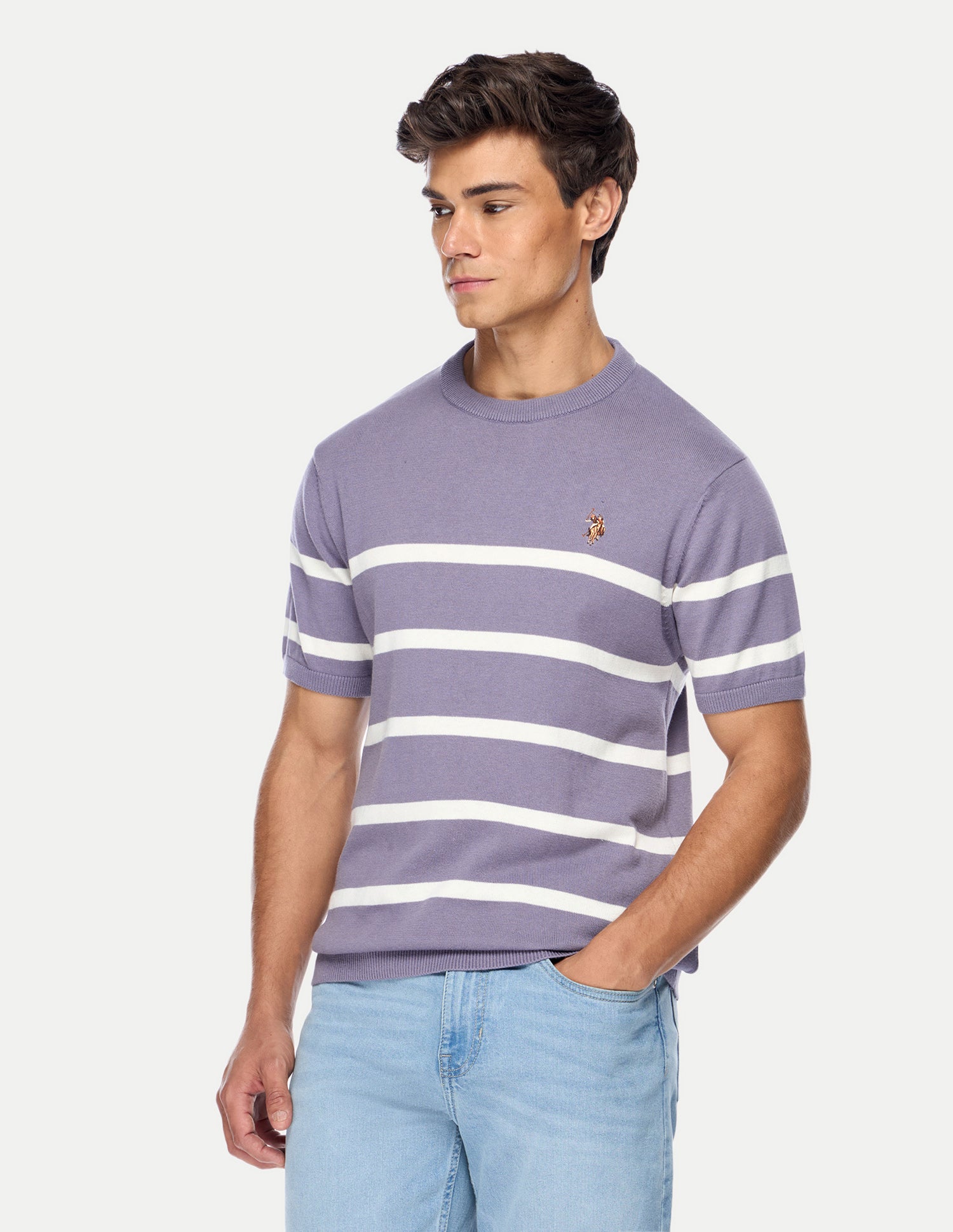 Horizontal Striped Regular Fit Sweater Purple - U.S. Polo Assn. India | Large