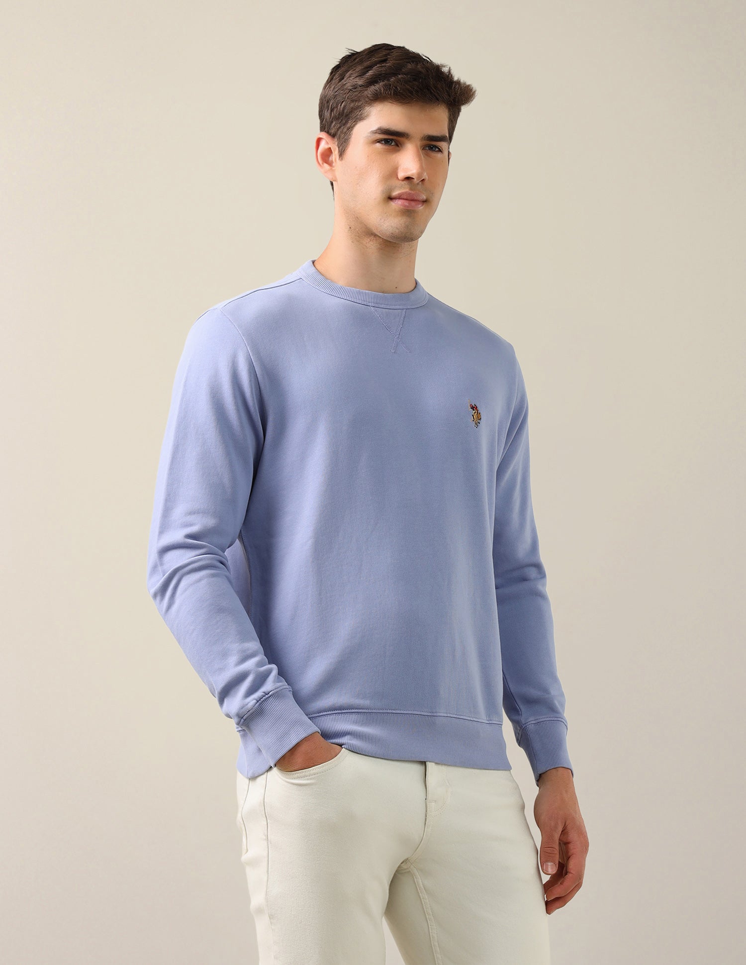Solid Regular Fit Sweatshirt Purple - U.S. Polo Assn. India | Large