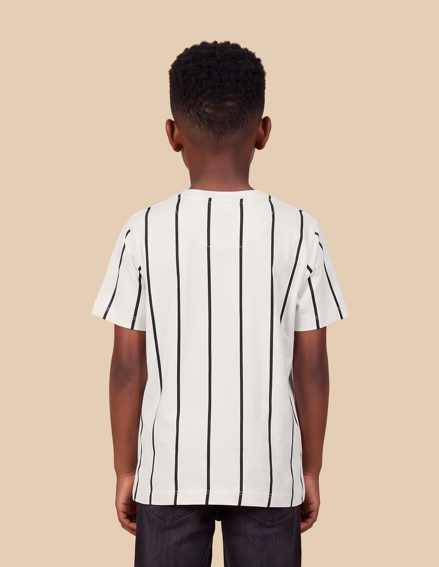 Vertical Striped Regular Fit T-Shirt Off White - U.S. Polo Assn. India | Large