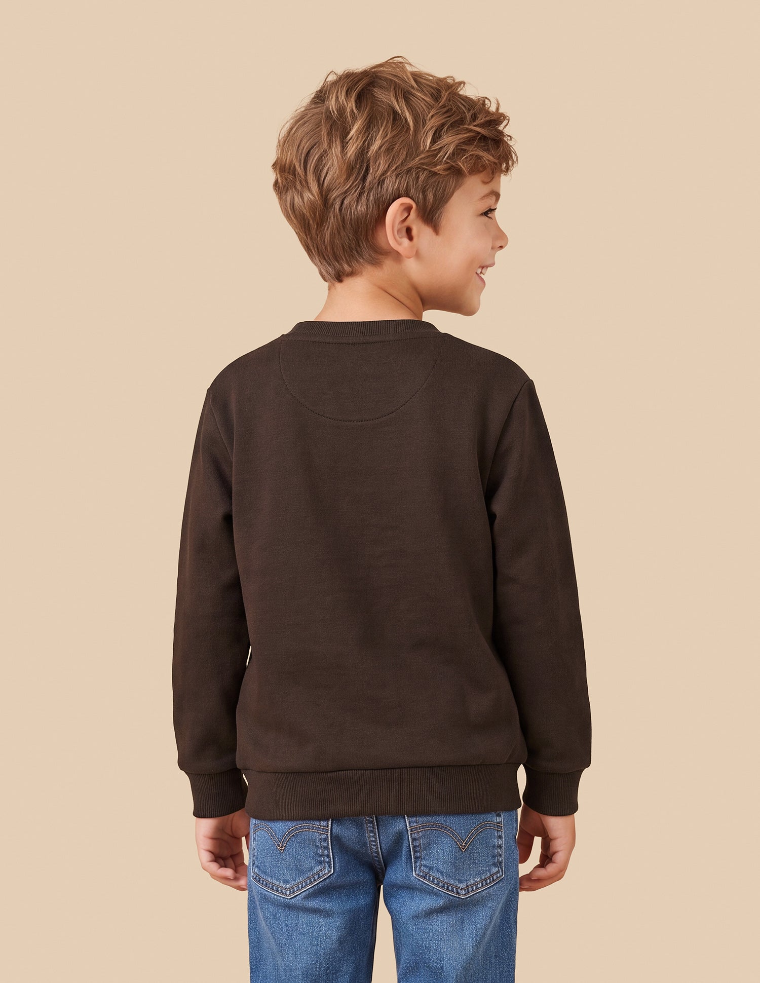 Graphic Brand Printed Regular Fit Sweatshirt Dark Brown - U.S. Polo Assn. India | Large
