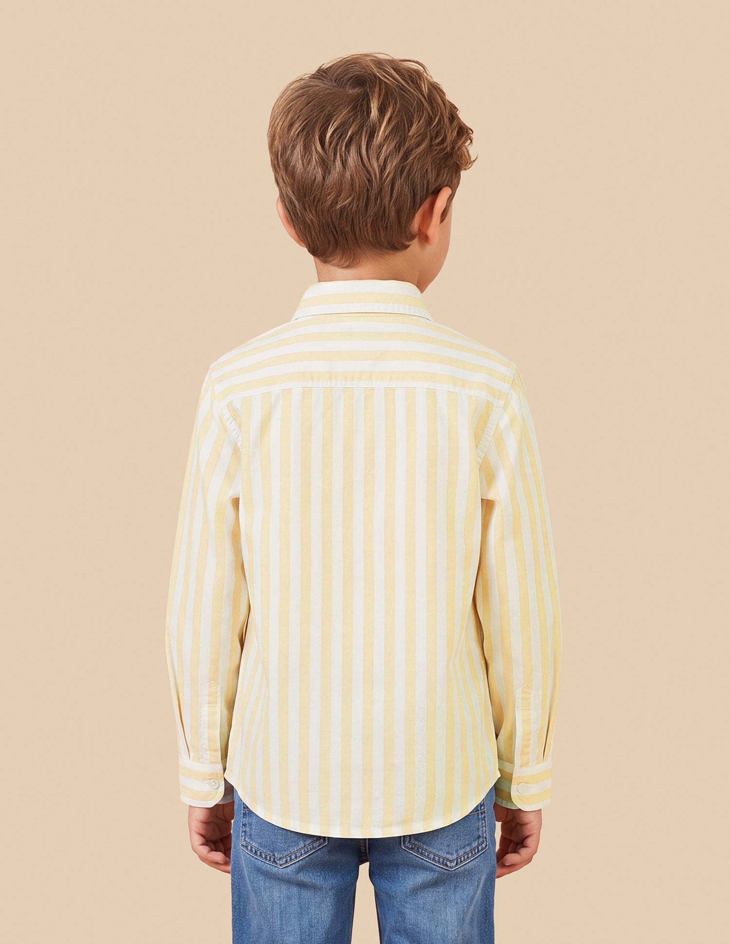Vertical Striped Oxford Shirt Yellow - U.S. Polo Assn. India | Large