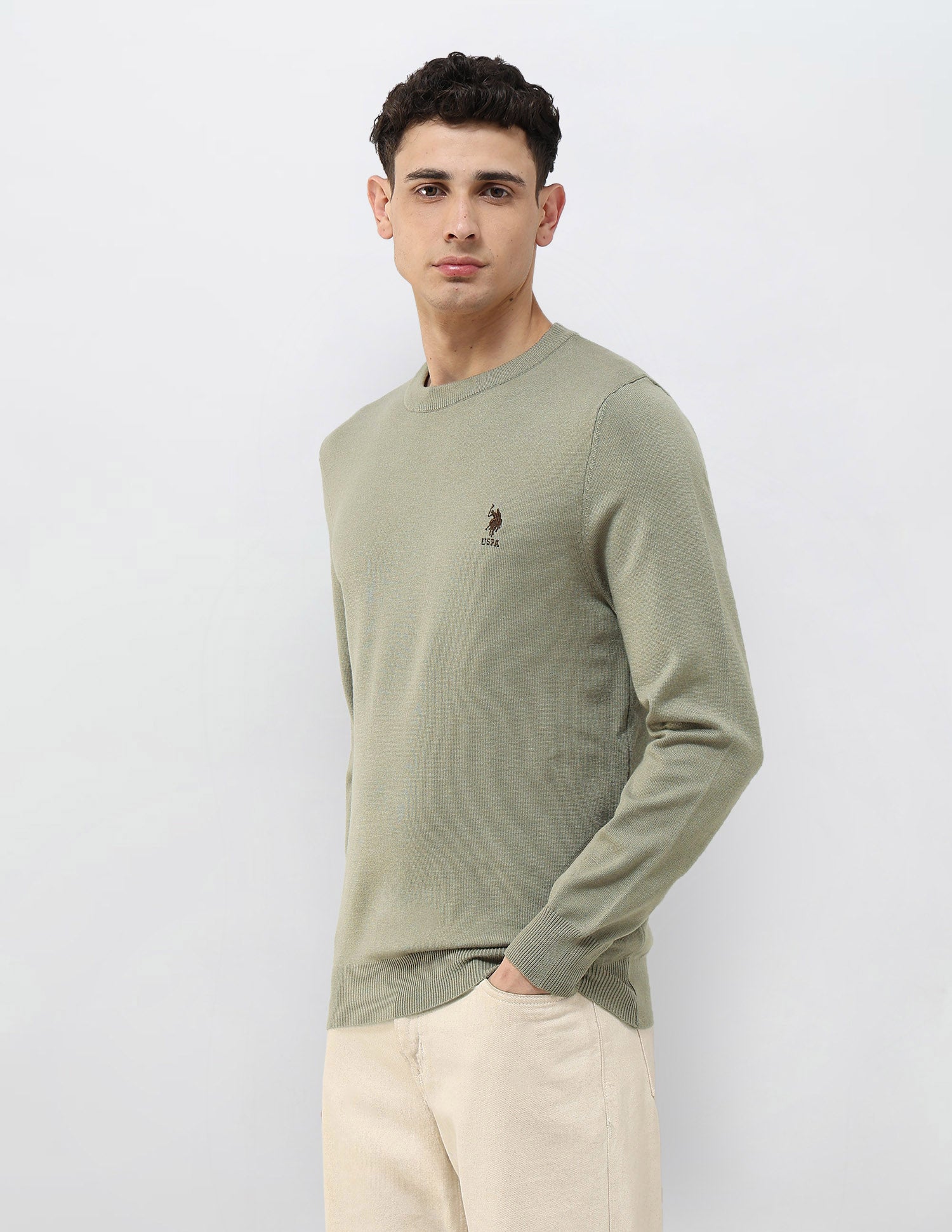 Solid Regular Fit Sweater Green - U.S. POLO ASSN. | Large