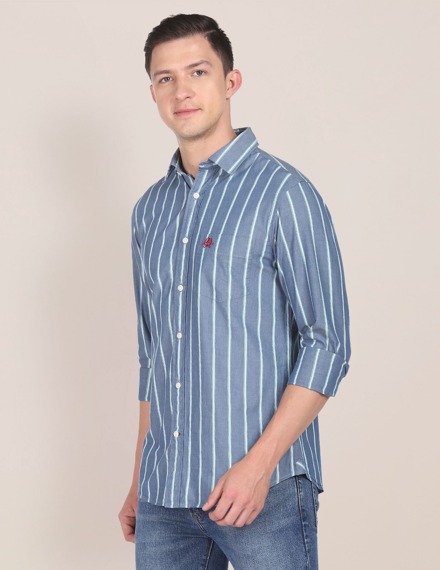 Vertical Stripe Pinpoint Oxford Casual Shirt Blue - U.S. POLO ASSN. | Large