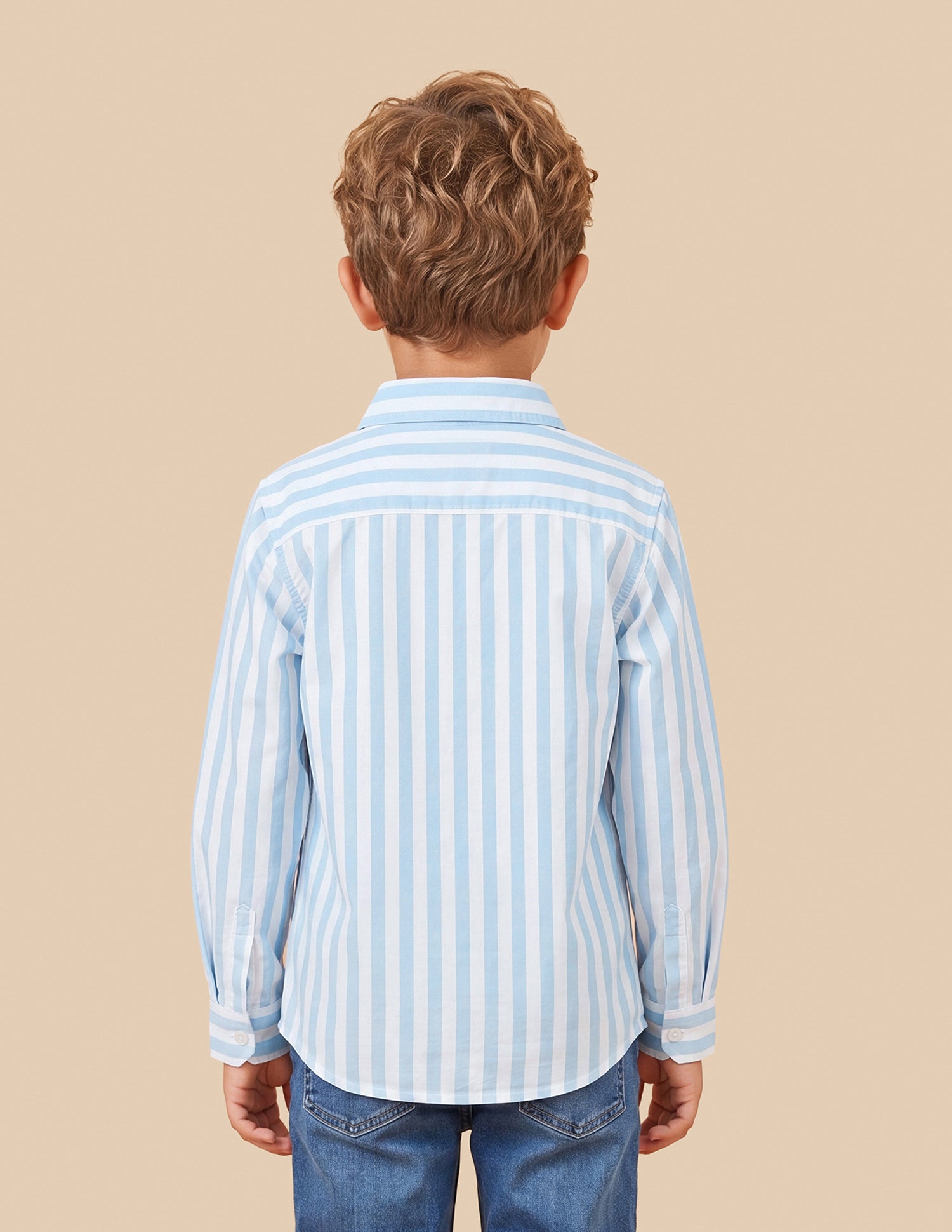 Vertical Striped Oxford Shirt Blue - U.S. Polo Assn. India | Large