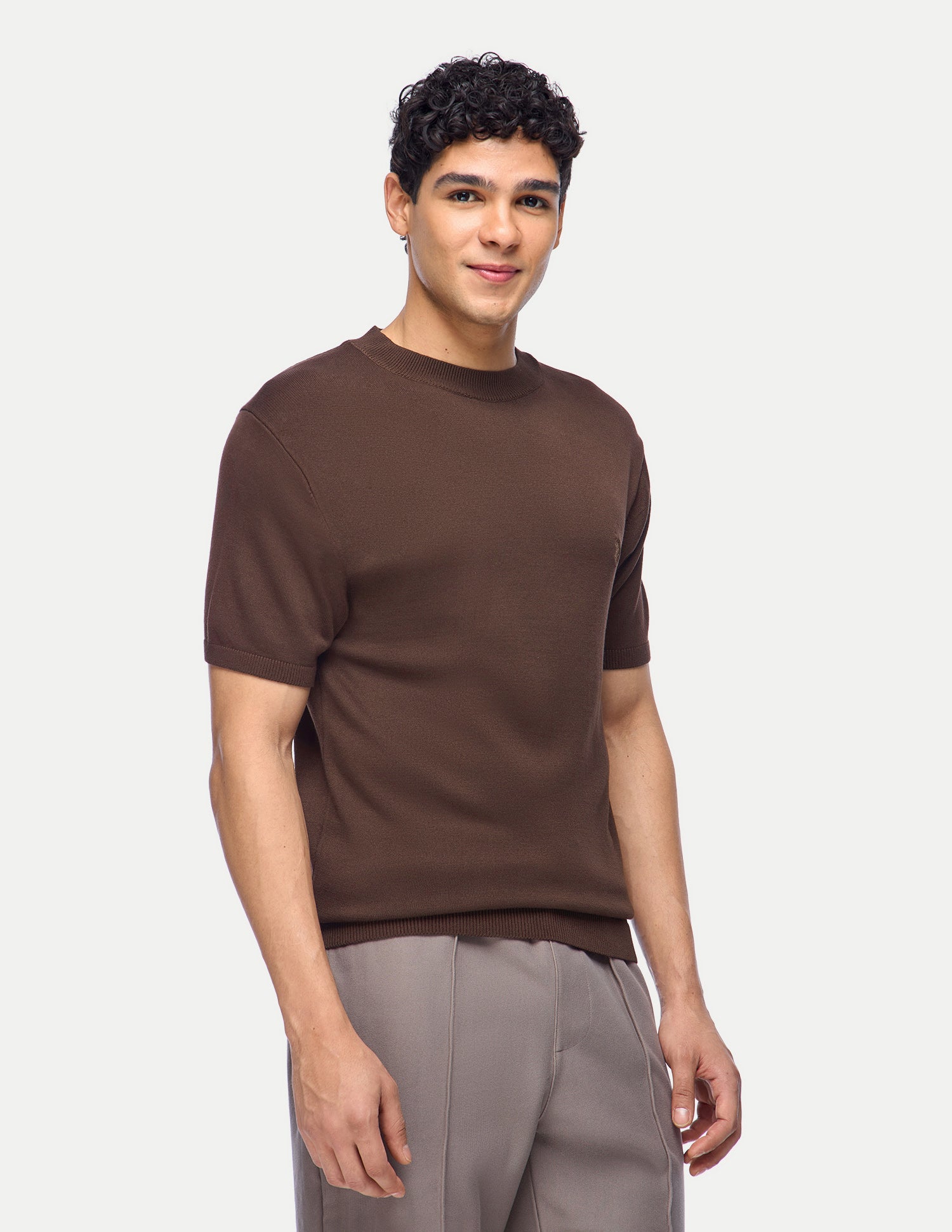 Solid Slim Fit T-Shirt Dark Brown - U.S. Polo Assn. India | Large
