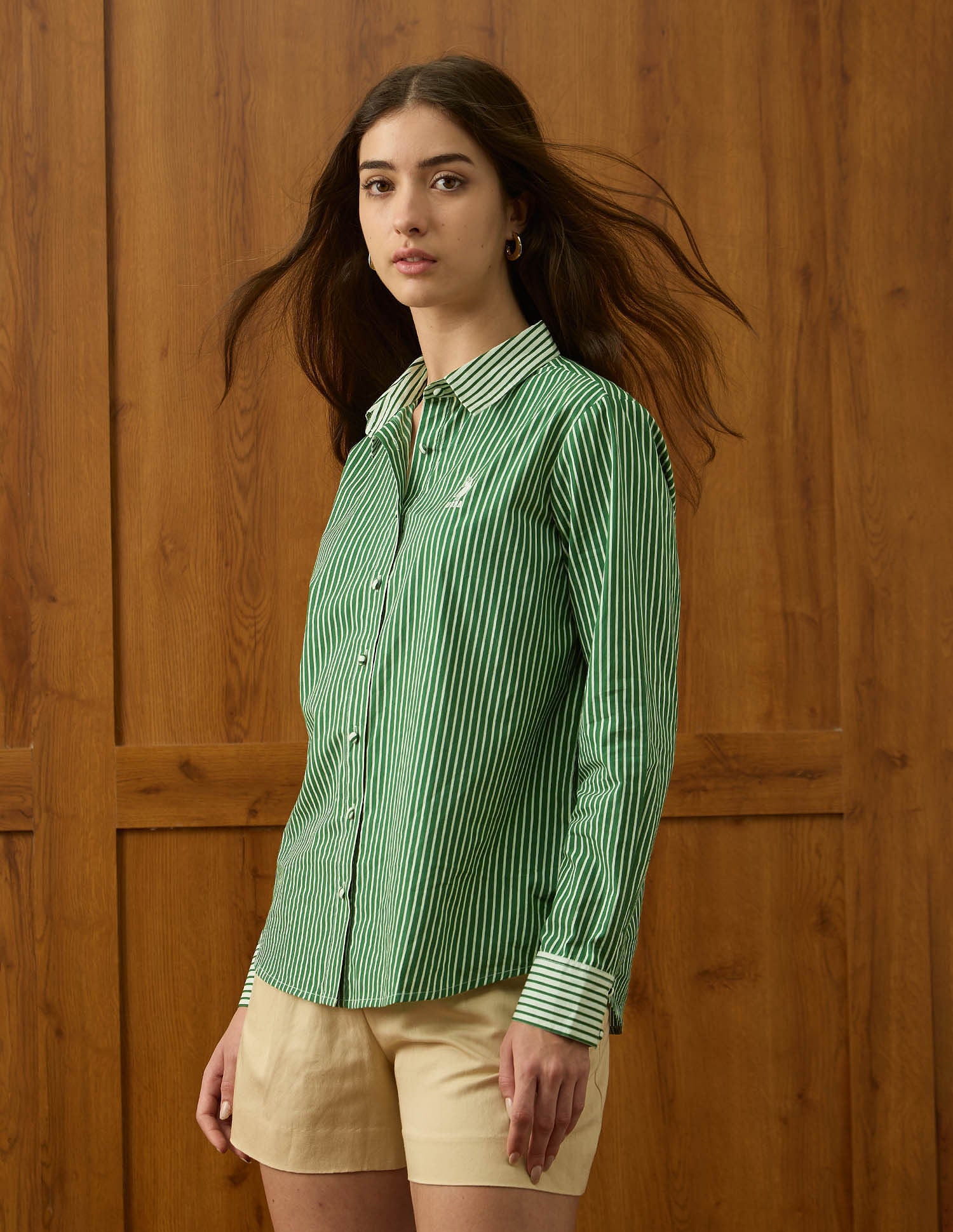 Regular Fit Striped Shirt Green - U.S. Polo Assn. India | Large
