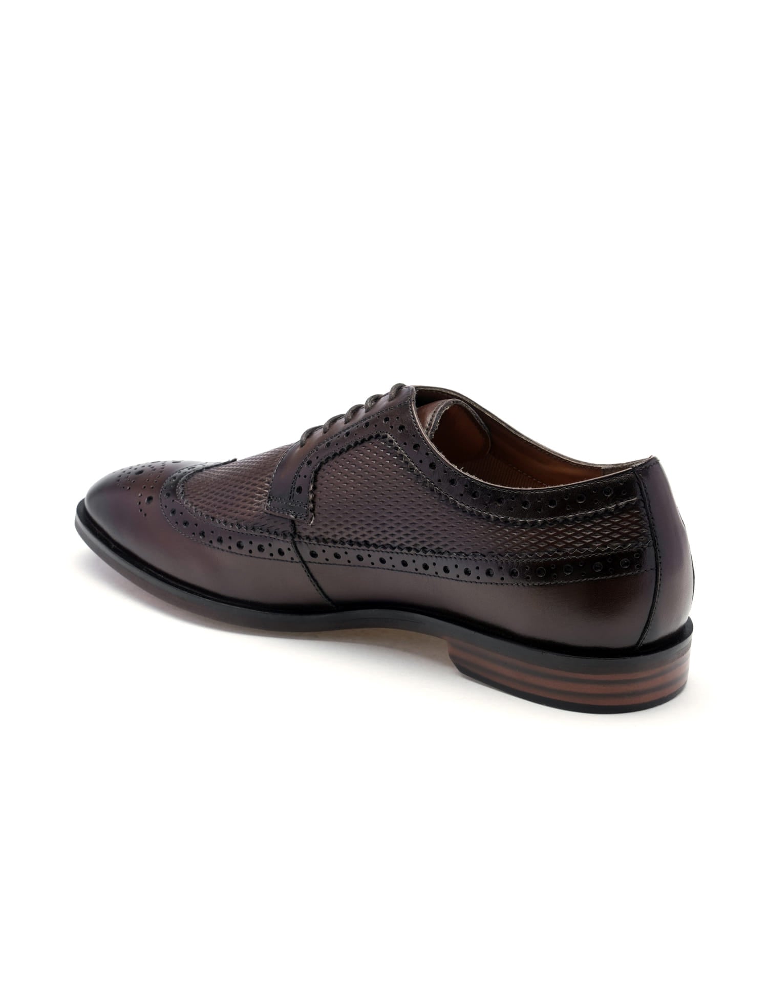 Denise 4.0 Leather Brogues Brown - U.S. Polo Assn. India | Large