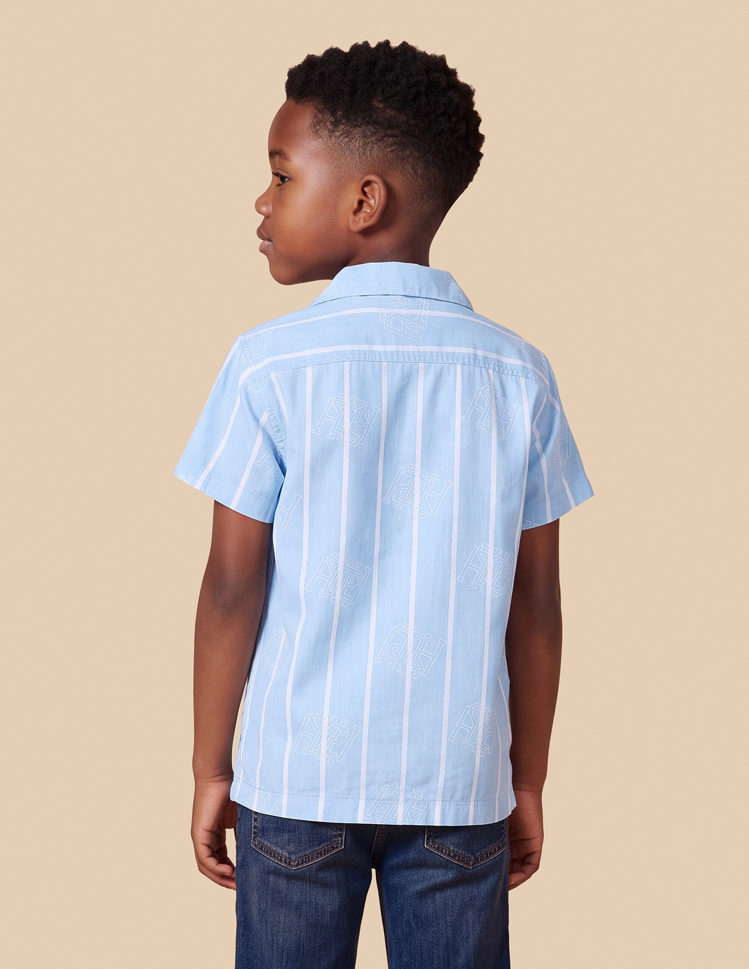 Vertical Striped Regular Fit Shirt Blue - U.S. Polo Assn. India | Large