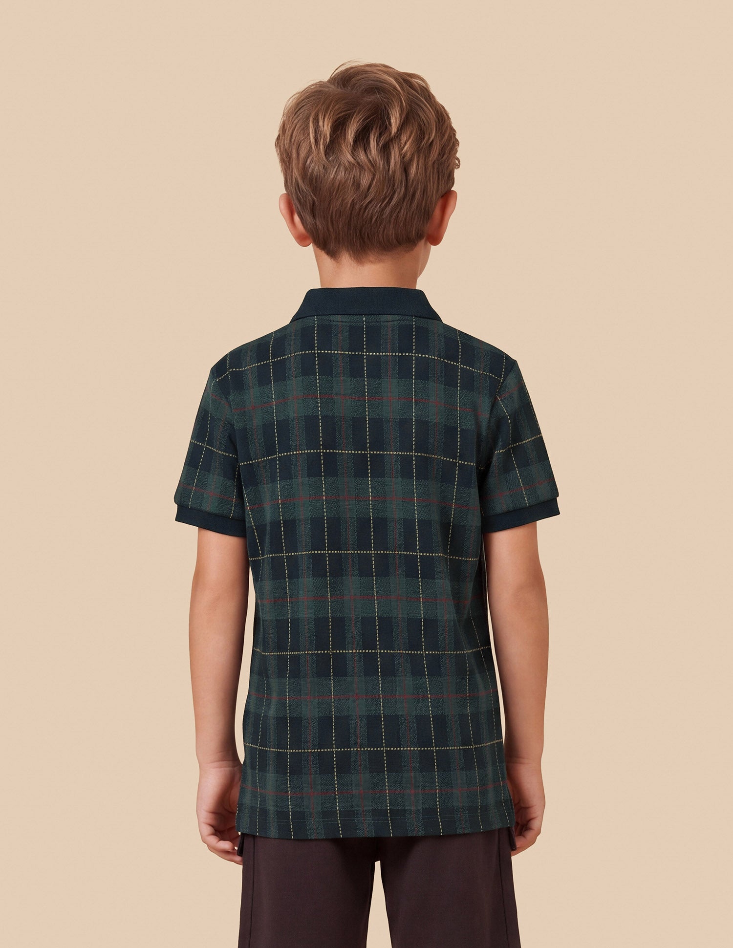 Checked Regular Fit Polo Shirt Green - U.S. Polo Assn. India | Large