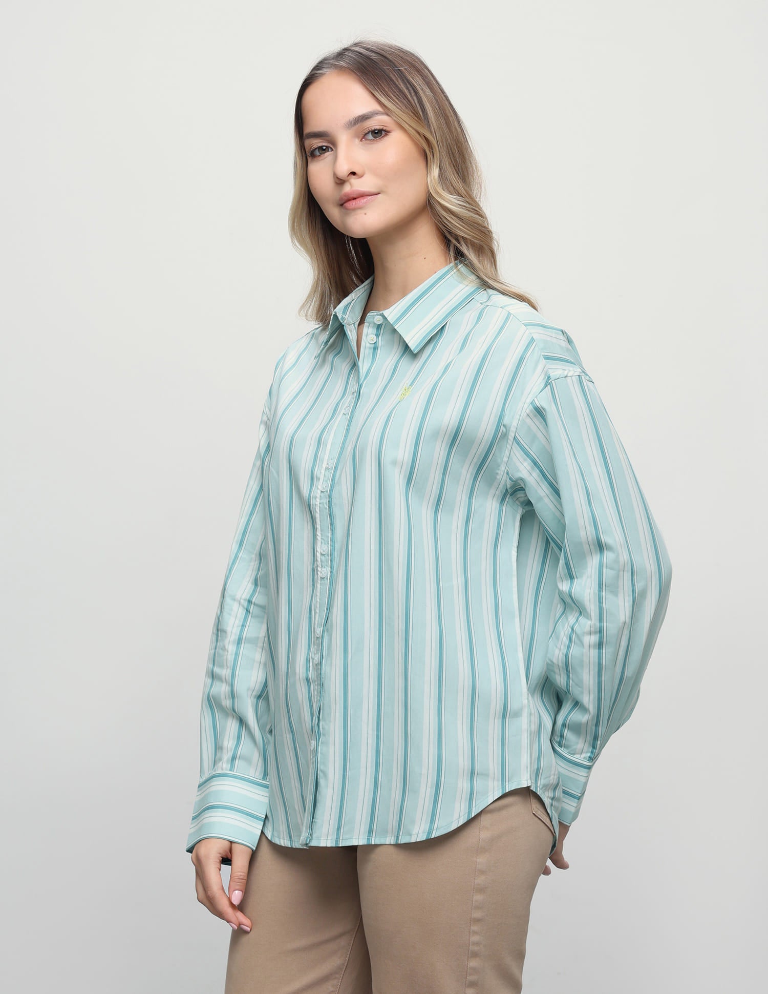 Vertical Striped Boyfriend Fit Shirt Green - U.S. Polo Assn. India | Large