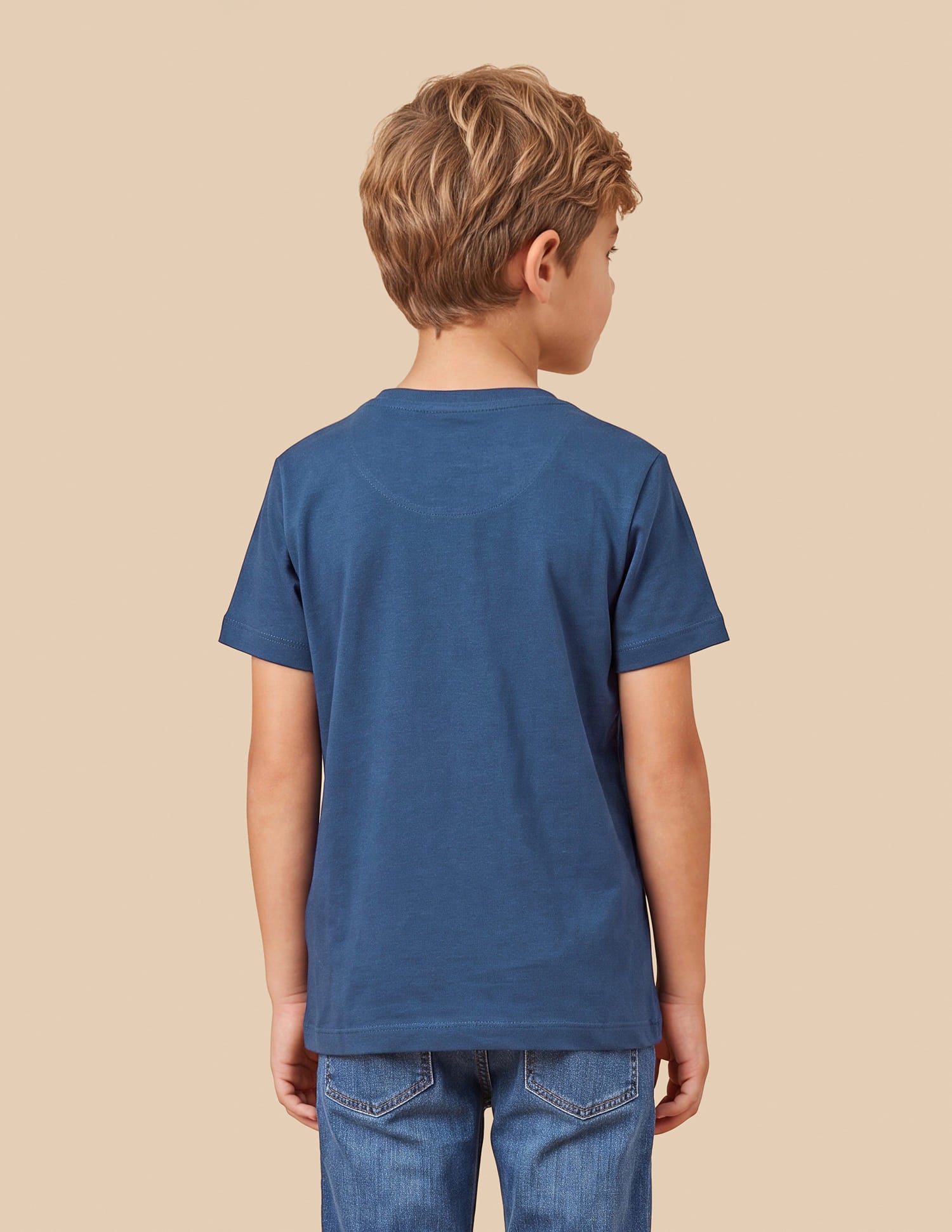 Brand Printed Regular Fit T-Shirt Blue - U.S. Polo Assn. India | Large
