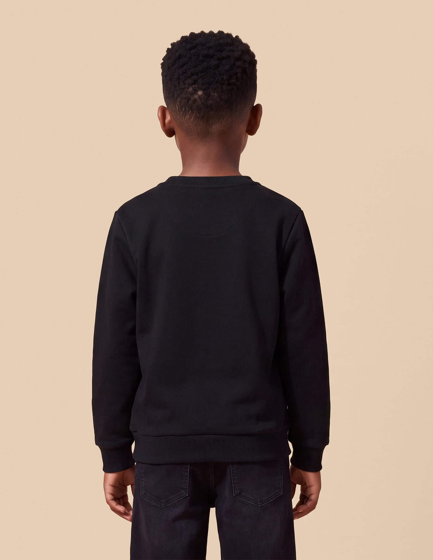 Solid Regular Fit Sweatshirt Black - U.S. Polo Assn. India | Large