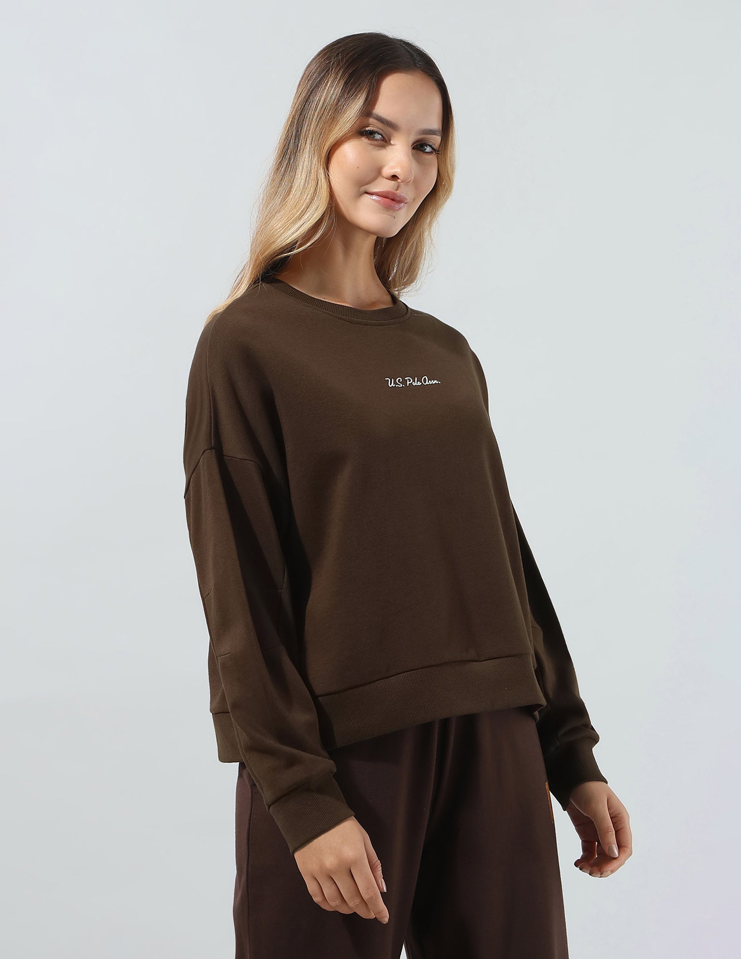 Solid Relaxed Fit Sweatshirt Brown - U.S. Polo Assn. India | Large