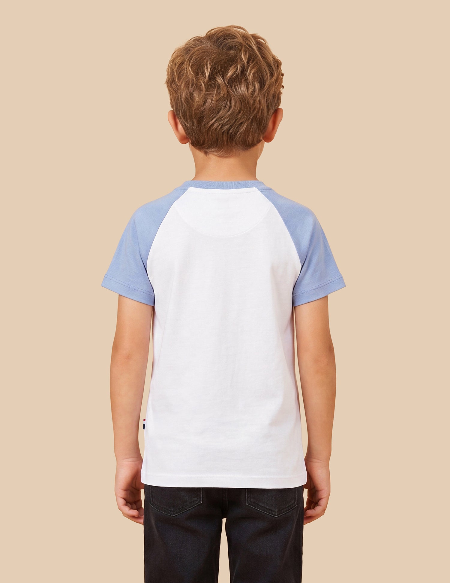 Graphic Brand Printed Regular Fit T-Shirt Light Blue - U.S. Polo Assn. India | Large