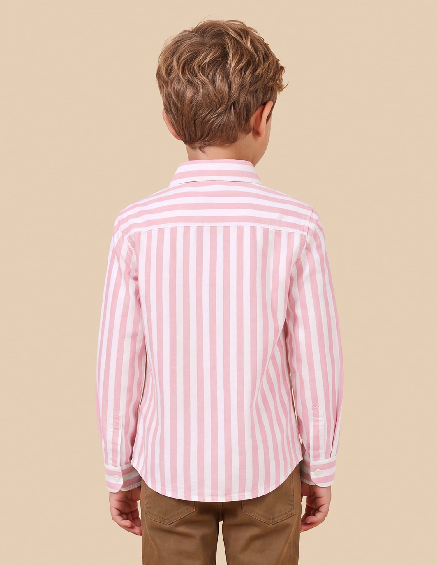 Vertical Striped Oxford Shirt Pink - U.S. Polo Assn. India | Large