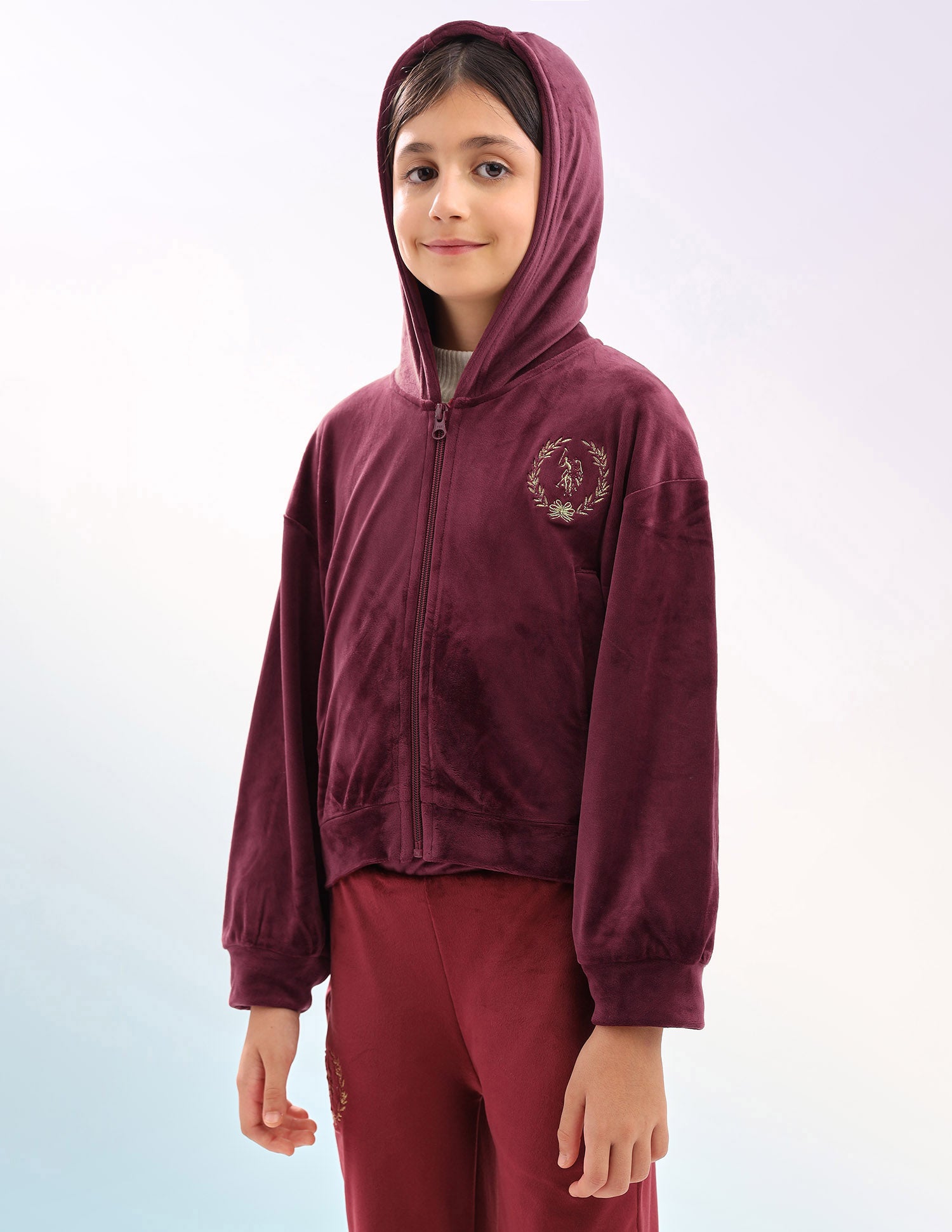 Solid Regular Fit Sweatshirt Wine - U.S. Polo Assn. India | Large