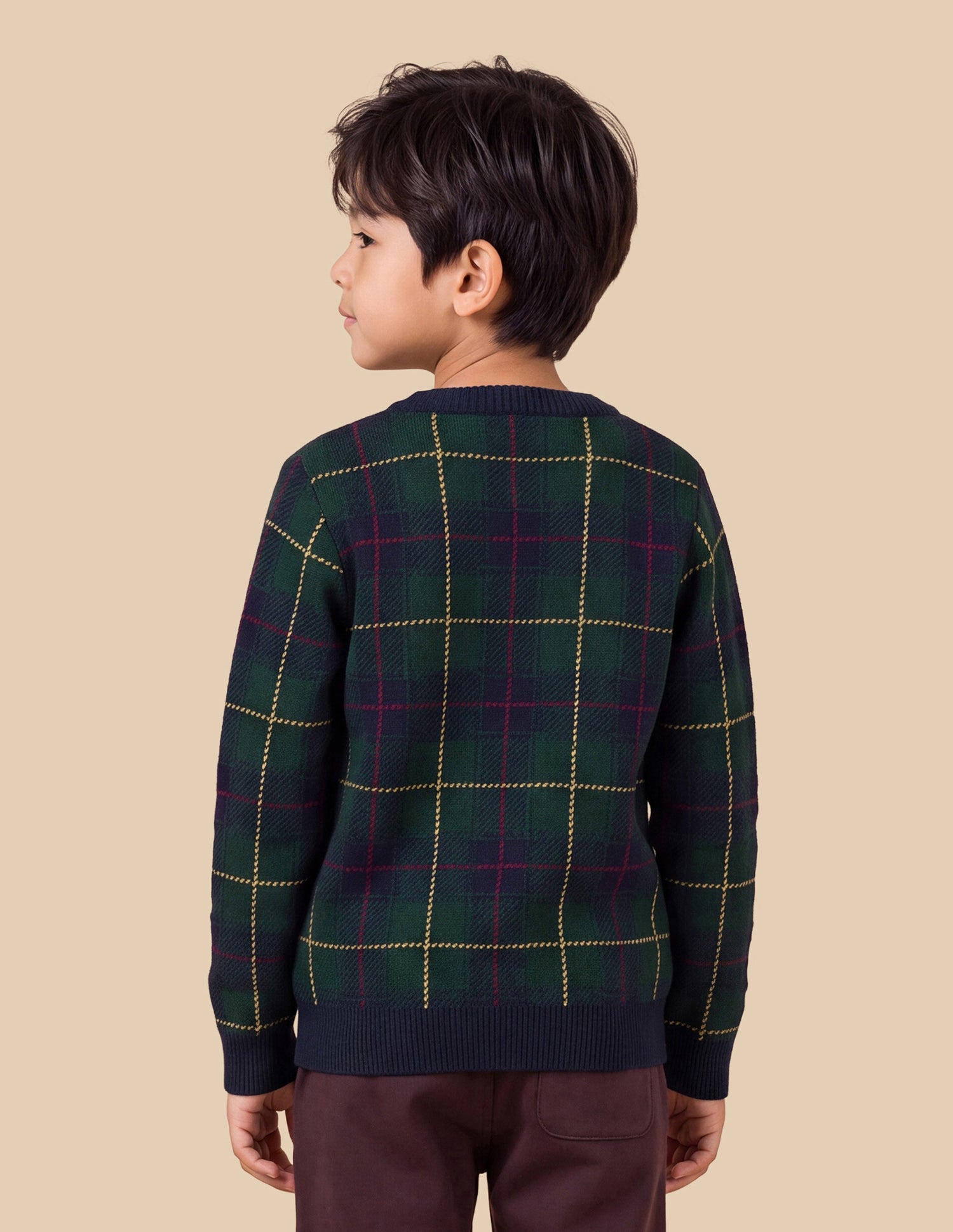 Checked Regular Fit Sweater Green - U.S. Polo Assn. India | Large