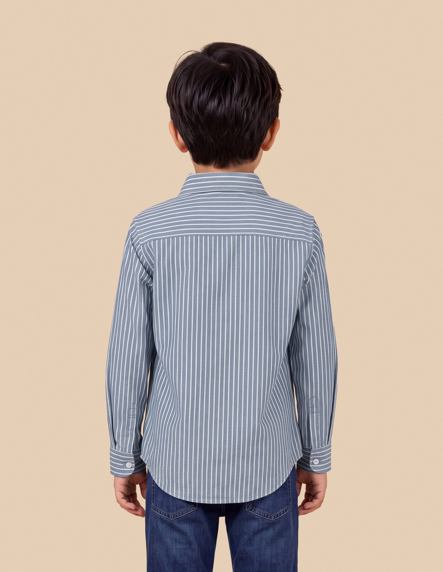 Vertical Striped Regular Fit Shirt Light Blue - U.S. Polo Assn. India | Large