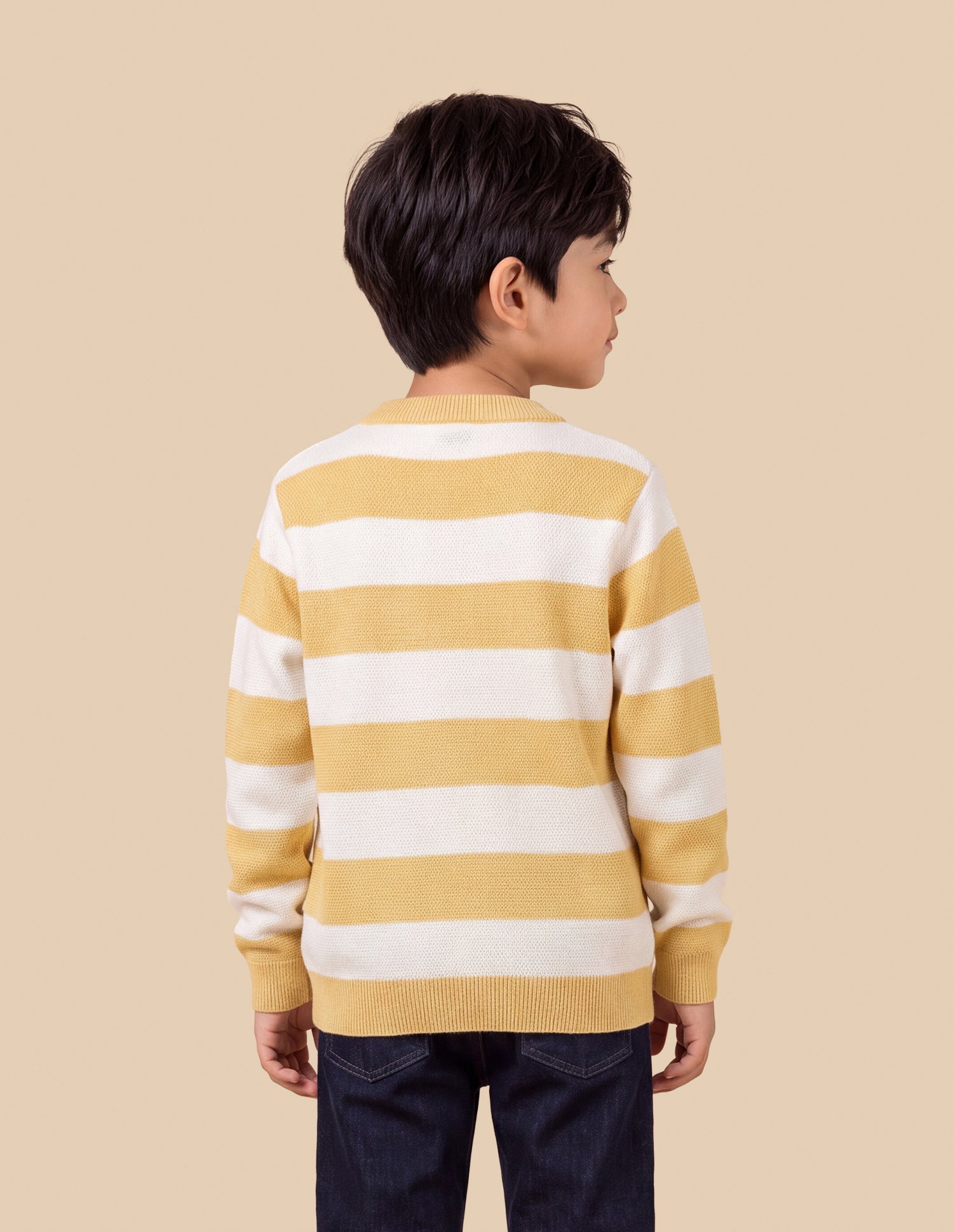 Horizontal Striped Regular Fit Sweater Light Yellow - U.S. Polo Assn. India | Large