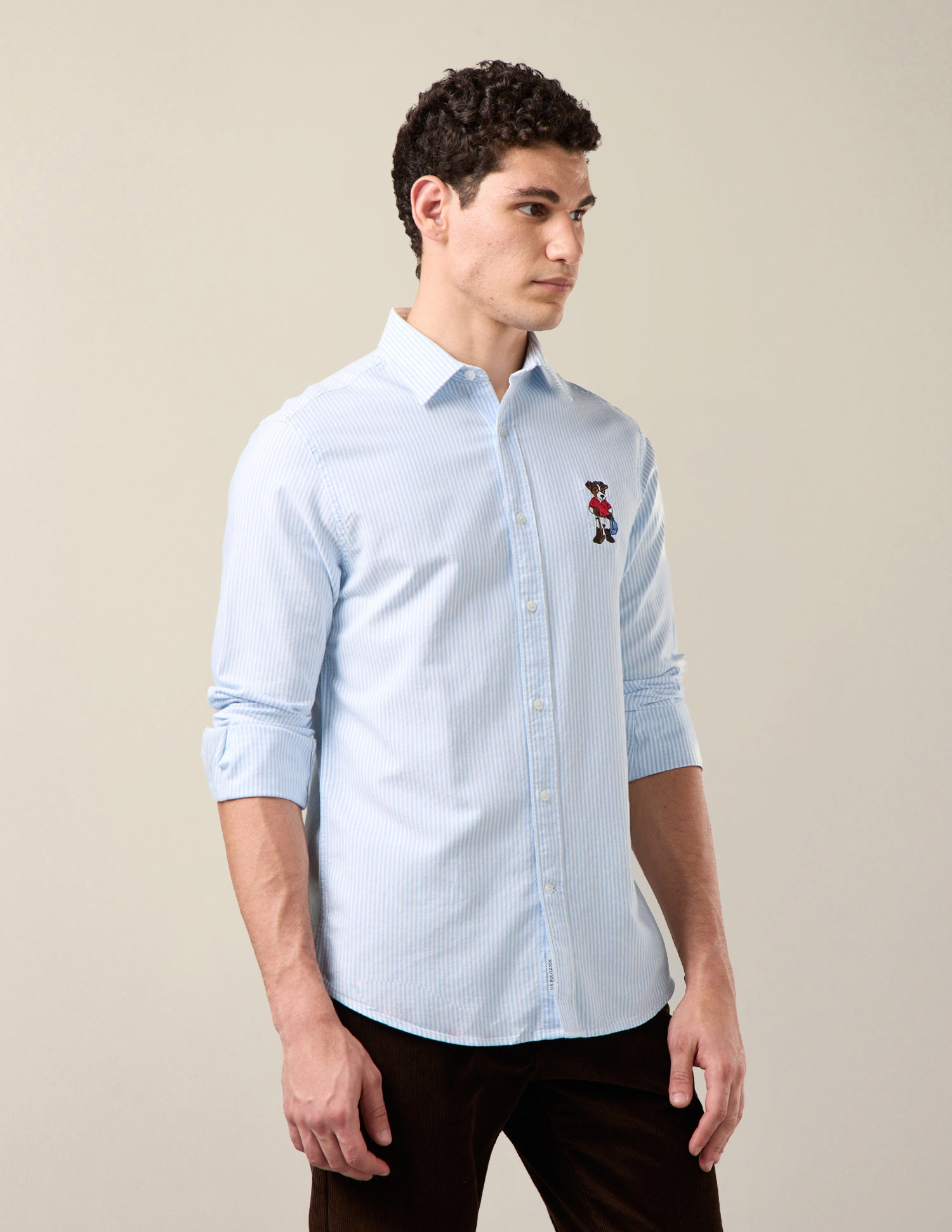 Vertical Striped Oxford Shirt Light Blue - U.S. Polo Assn. India | Large
