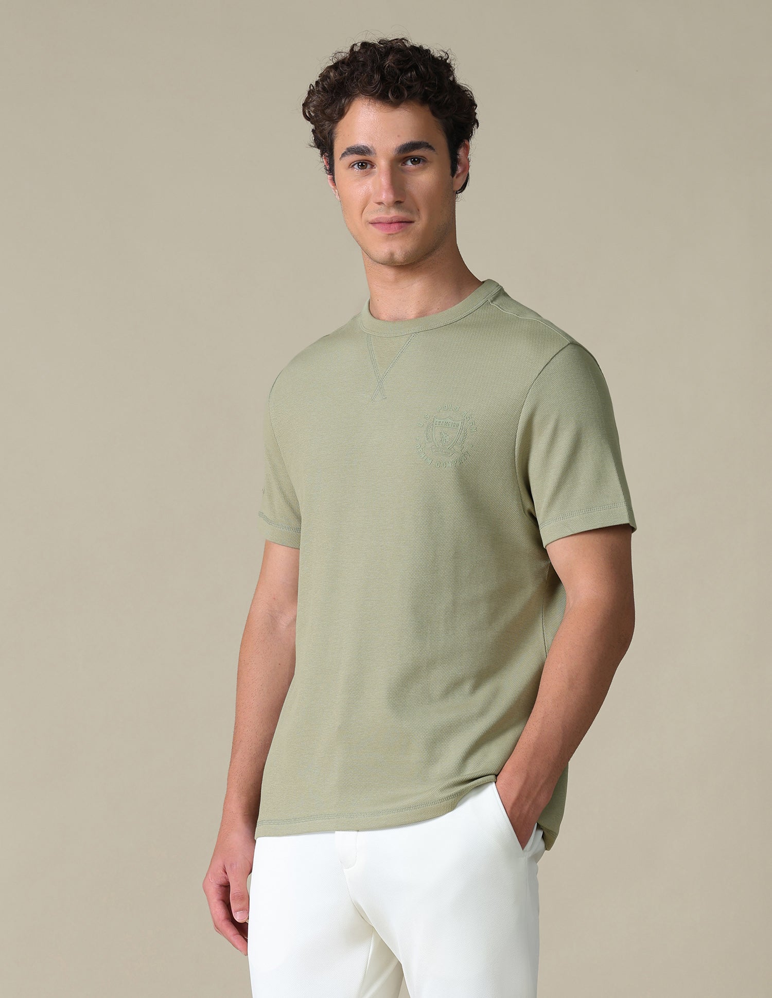 Slim Fit Solid T-Shirt Green - U.S. Polo Assn. India | Large