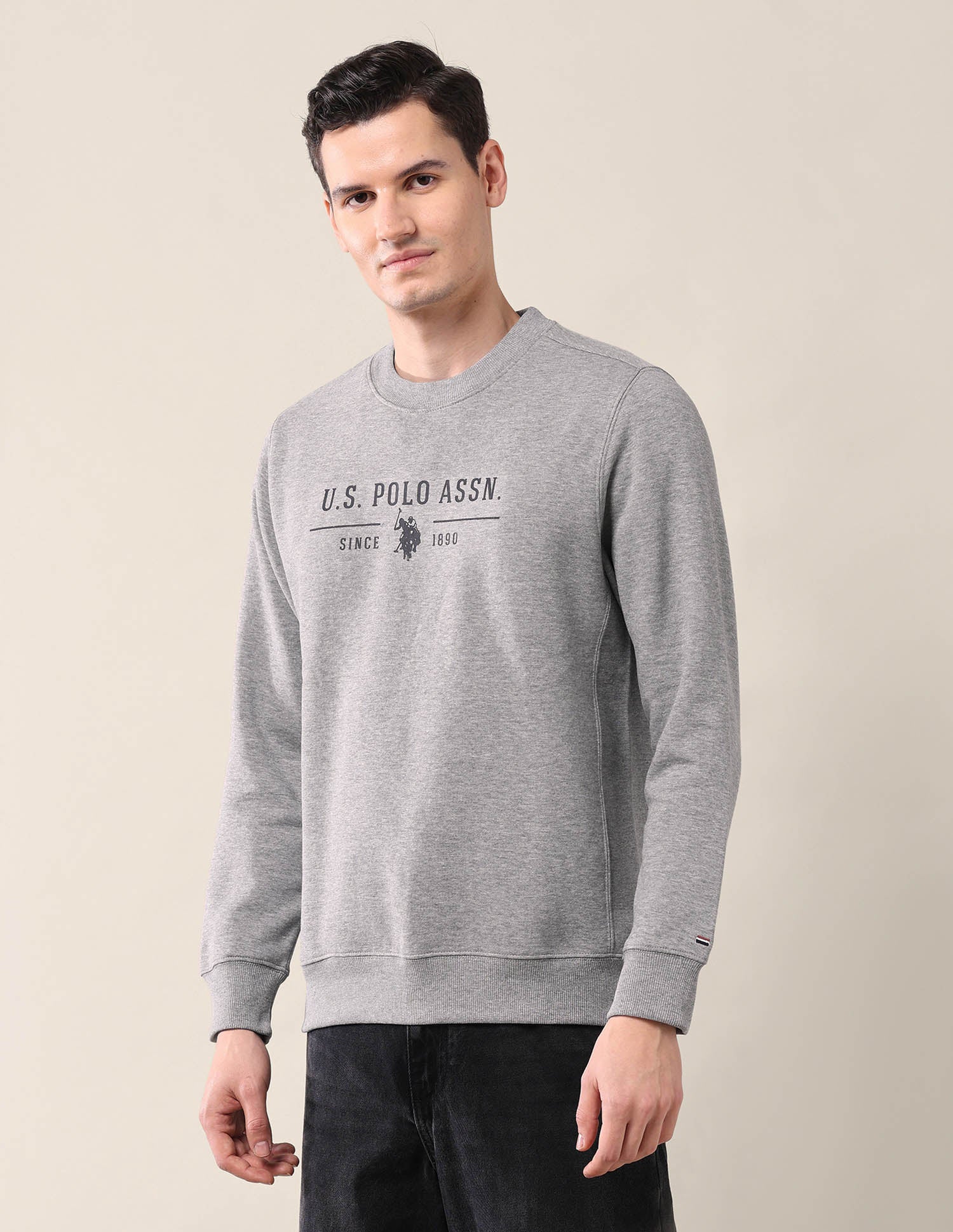 Brand Printed Crew Neck Sweatshirt Grey Mel - U.S. Polo Assn. India | Large
