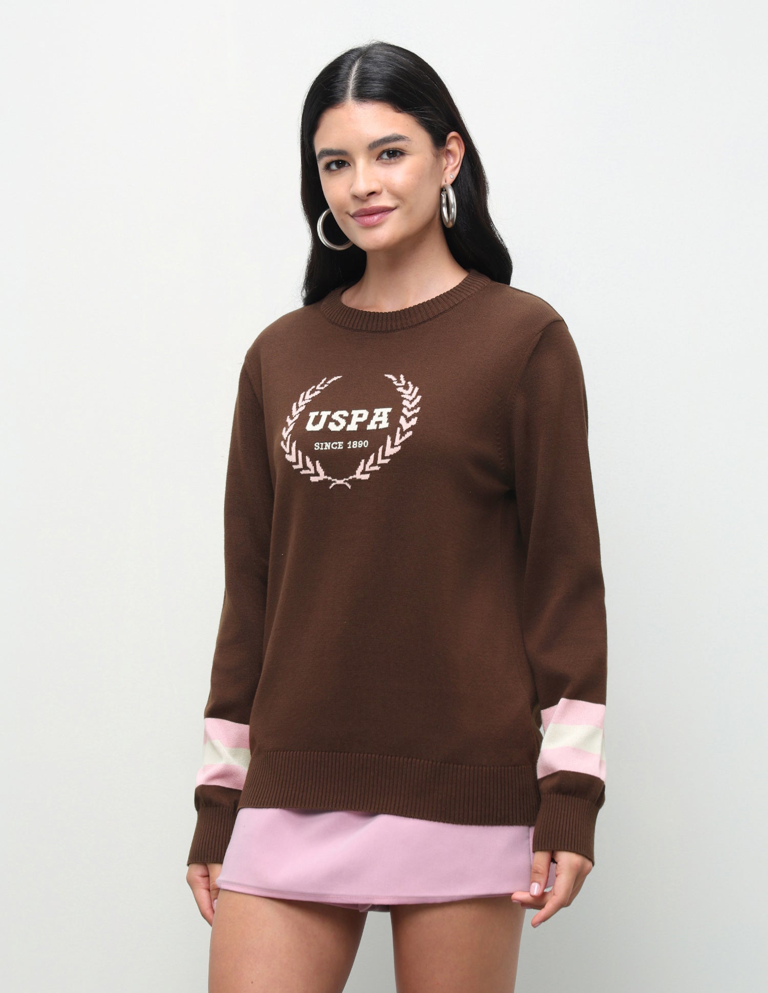 Brand Patterned Knit Regular Fit Sweater Brown - U.S. Polo Assn. India | Large