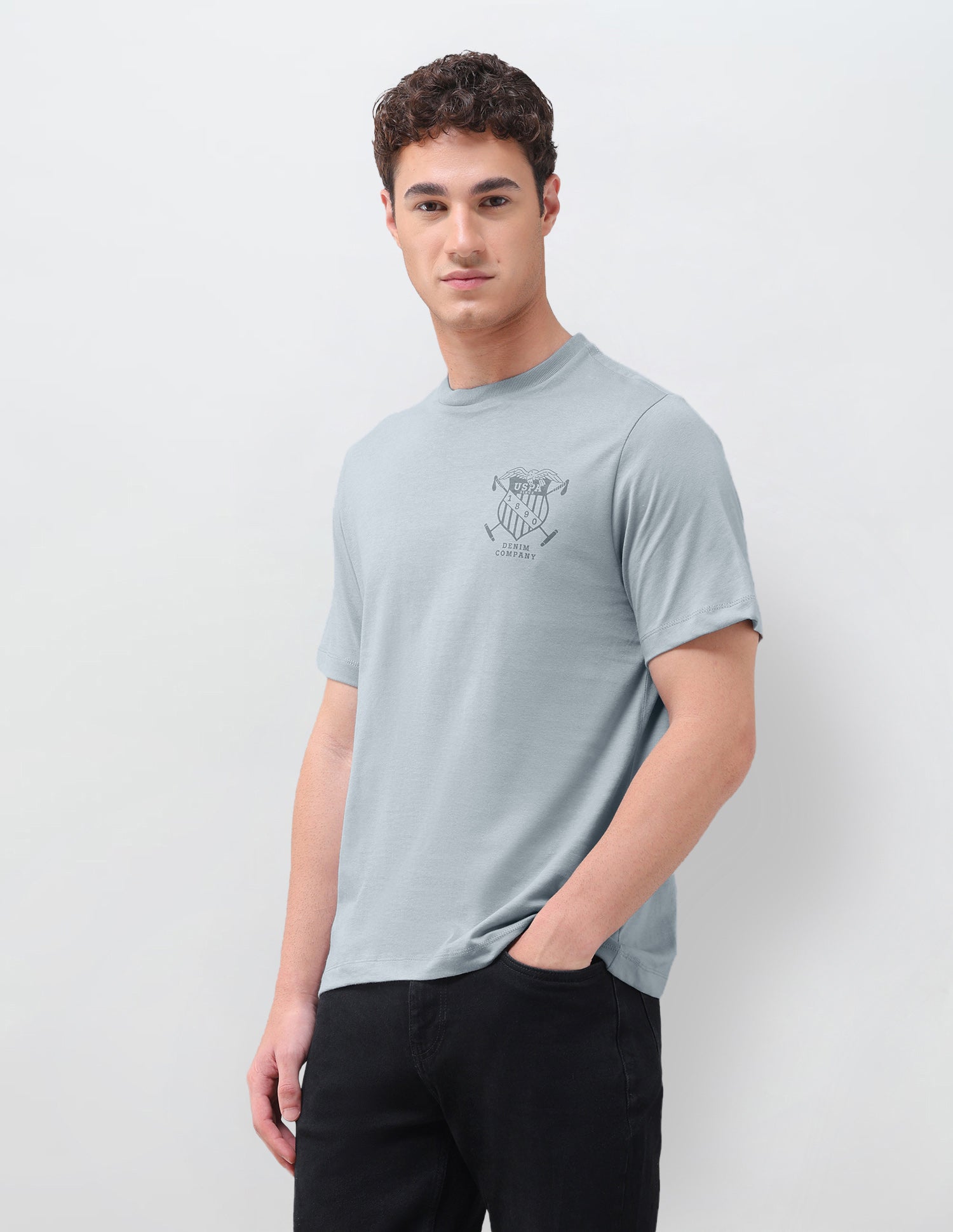 Graphic Brand Printed Relaxed Fit T-Shirt Grey - U.S. Polo Assn. India | Large