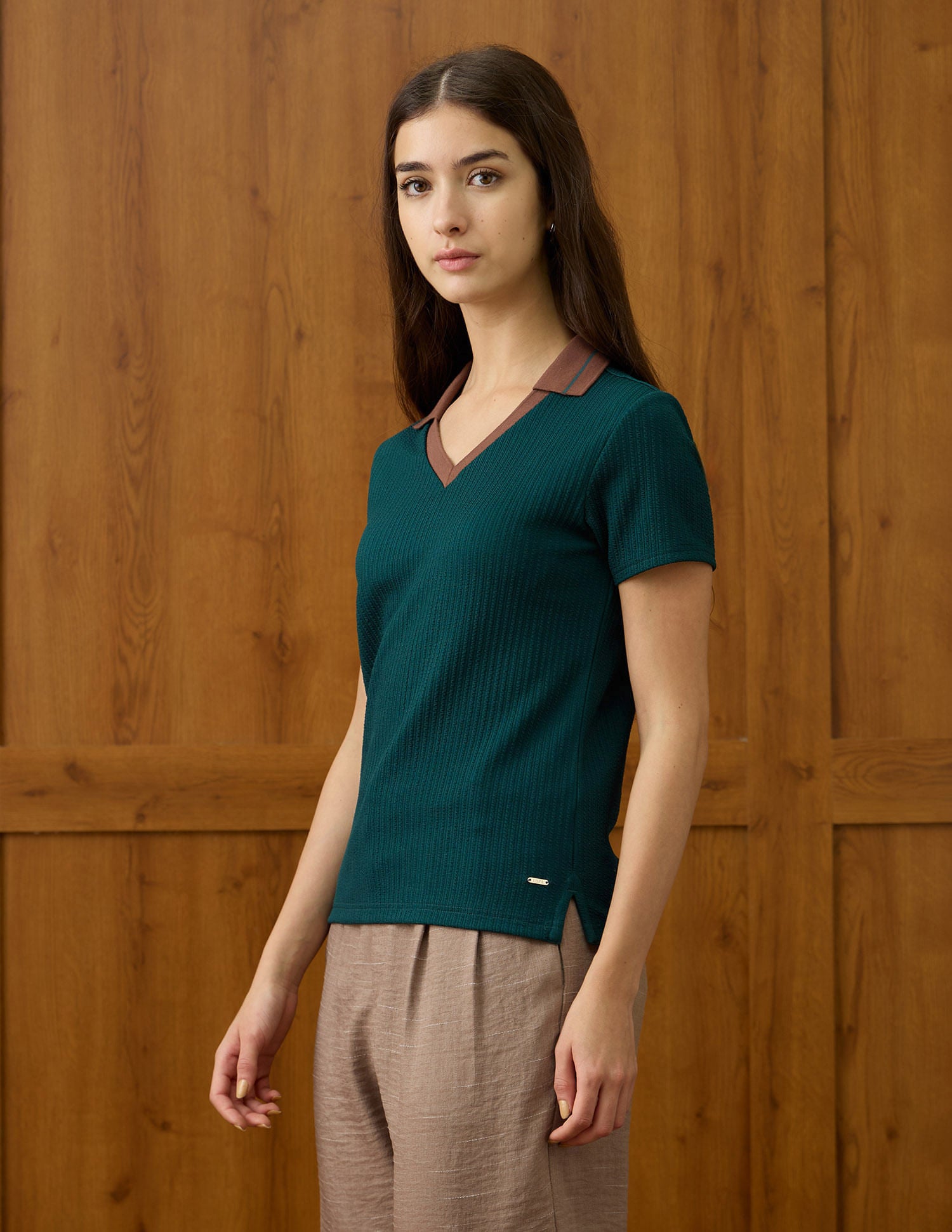 Textured V-Neck Polo Shirt Green - U.S. Polo Assn. India | Large