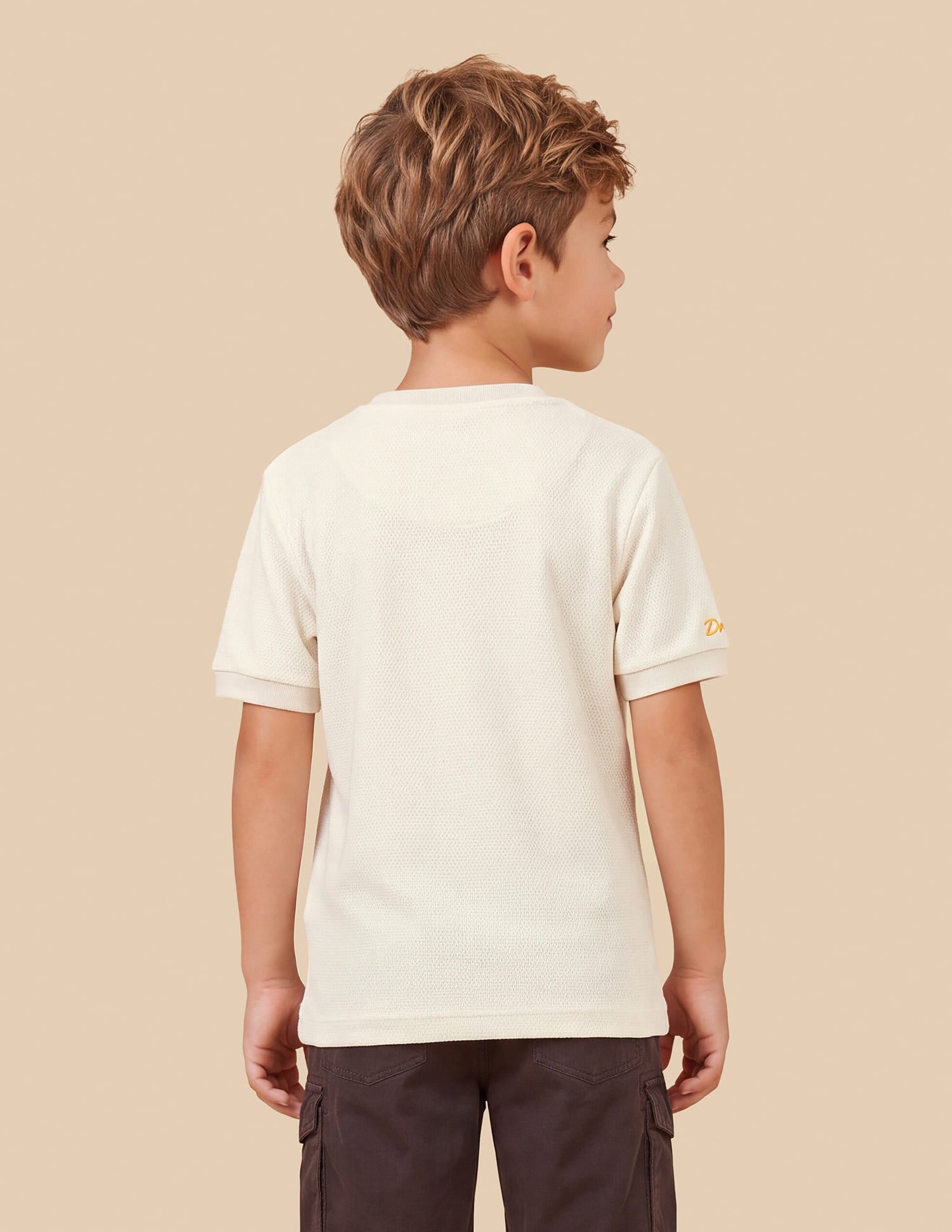 Brand Applique Regular Fit T-Shirt White - U.S. Polo Assn. India | Large