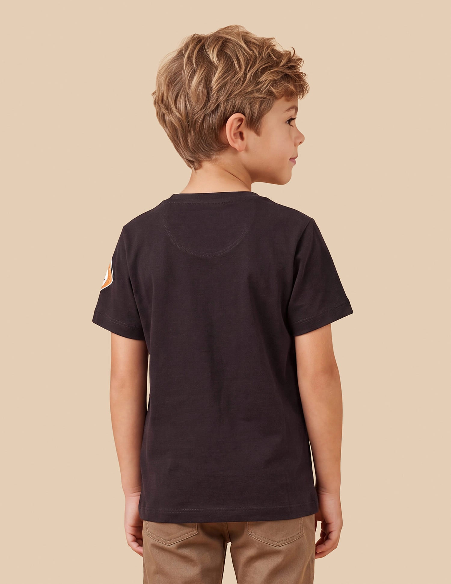 Graphic Printed Regular Fit T-Shirt Brown - U.S. Polo Assn. India | Large