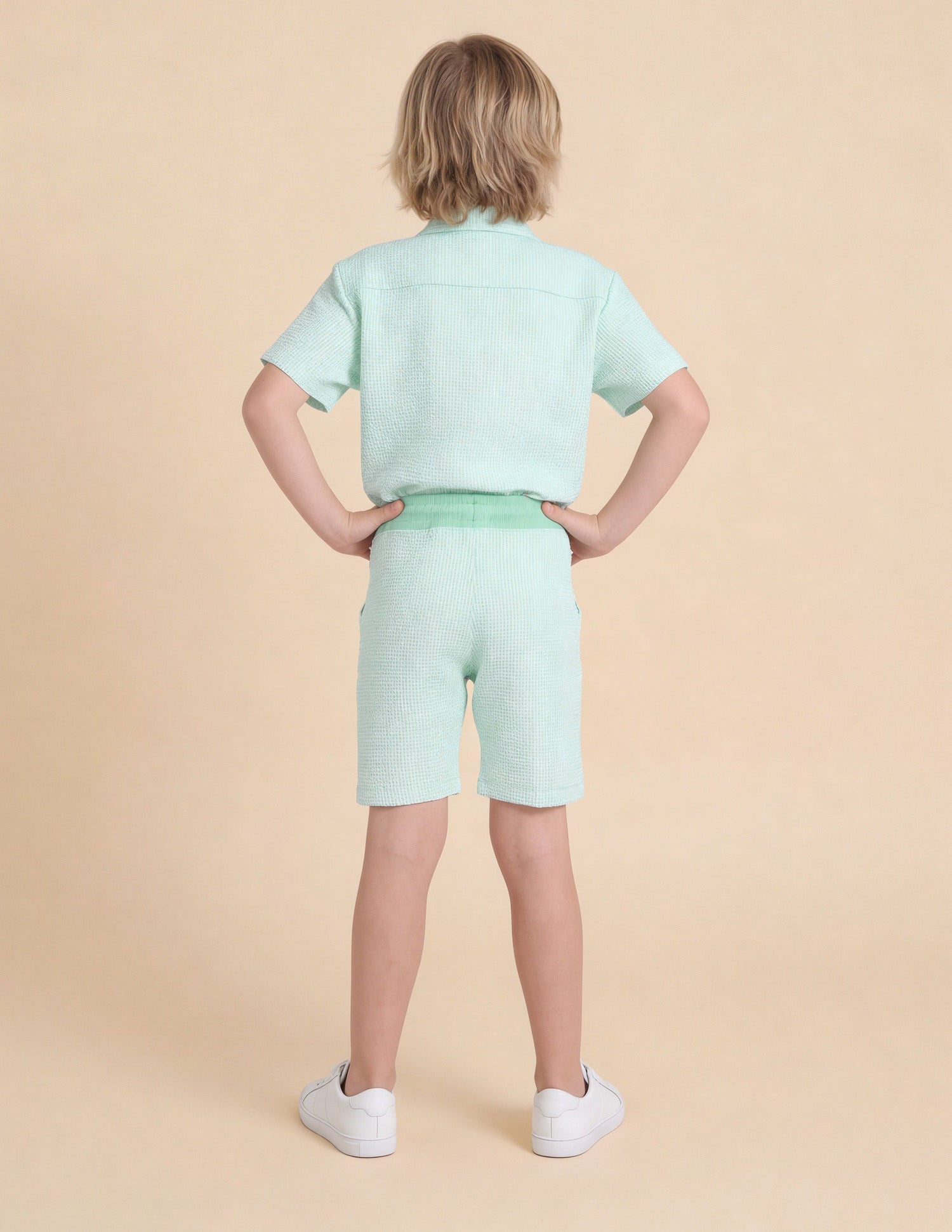 Textured Regular Fit Shorts Light Green - U.S. Polo Assn. India | Large