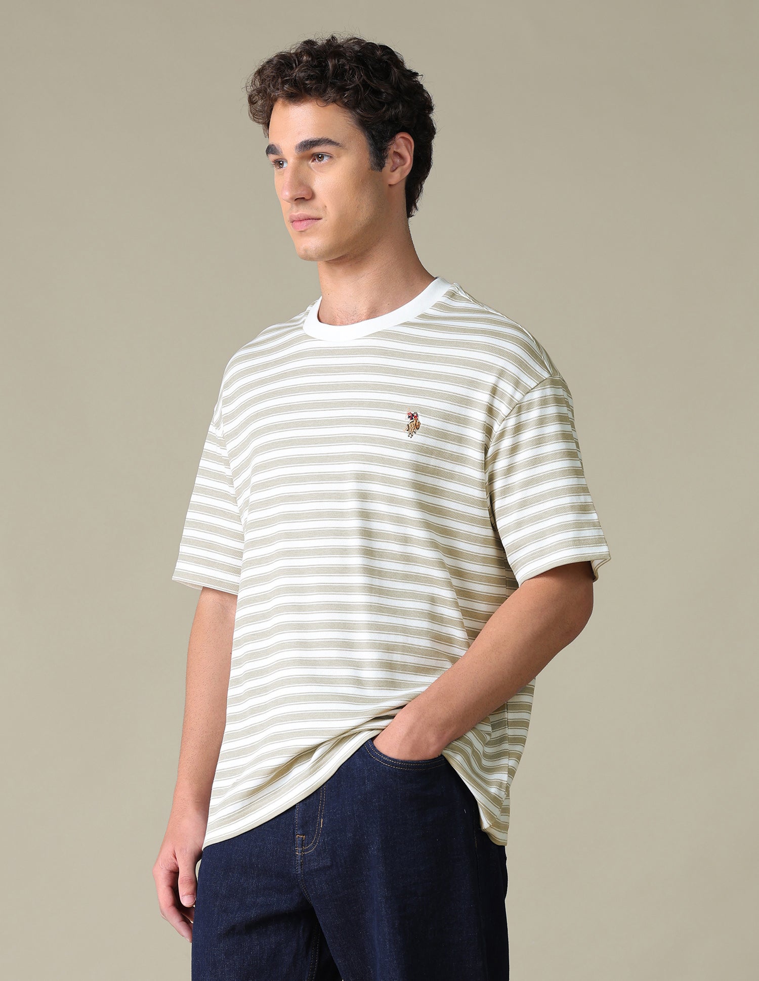 Relaxed Fit Horizontal Striped T-Shirt Khaki - U.S. Polo Assn. India | Large