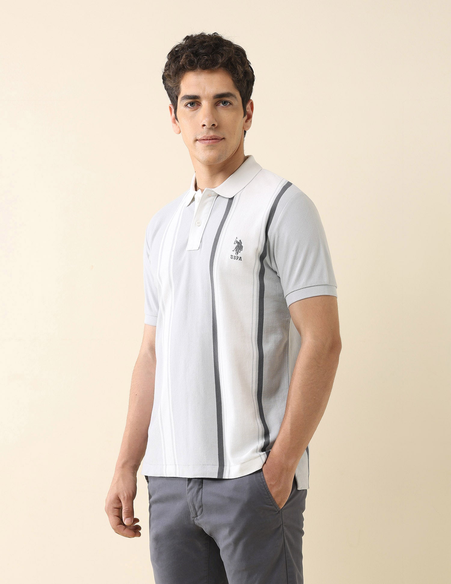 Vertical Striped Working Holiday Polo Shirt Grey - U.S. Polo Assn. India | Large