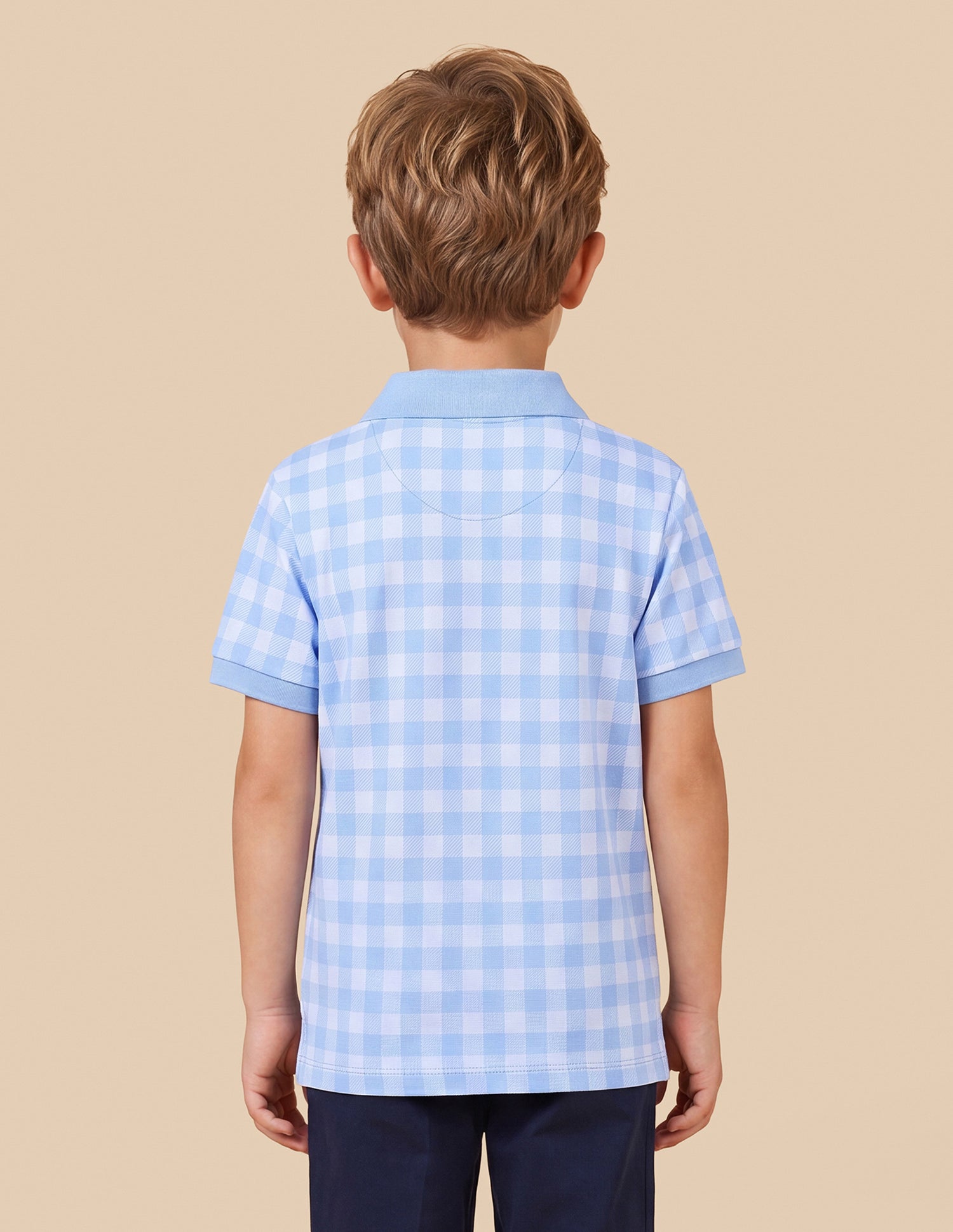 Checked Regular Fit Polo Shirt Light Blue - U.S. Polo Assn. India | Large