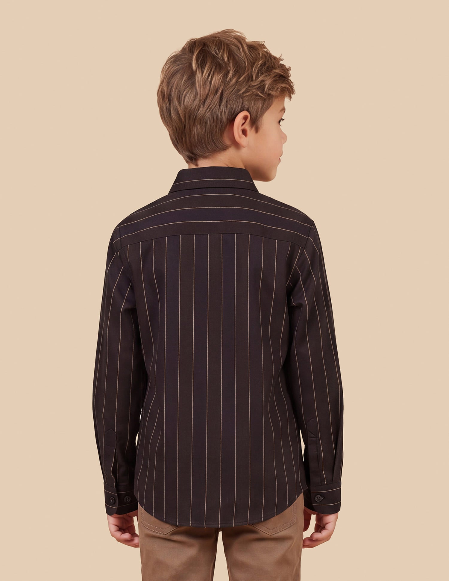 Vertical Striped Regular Fit Shirt Purple - U.S. Polo Assn. India | Large